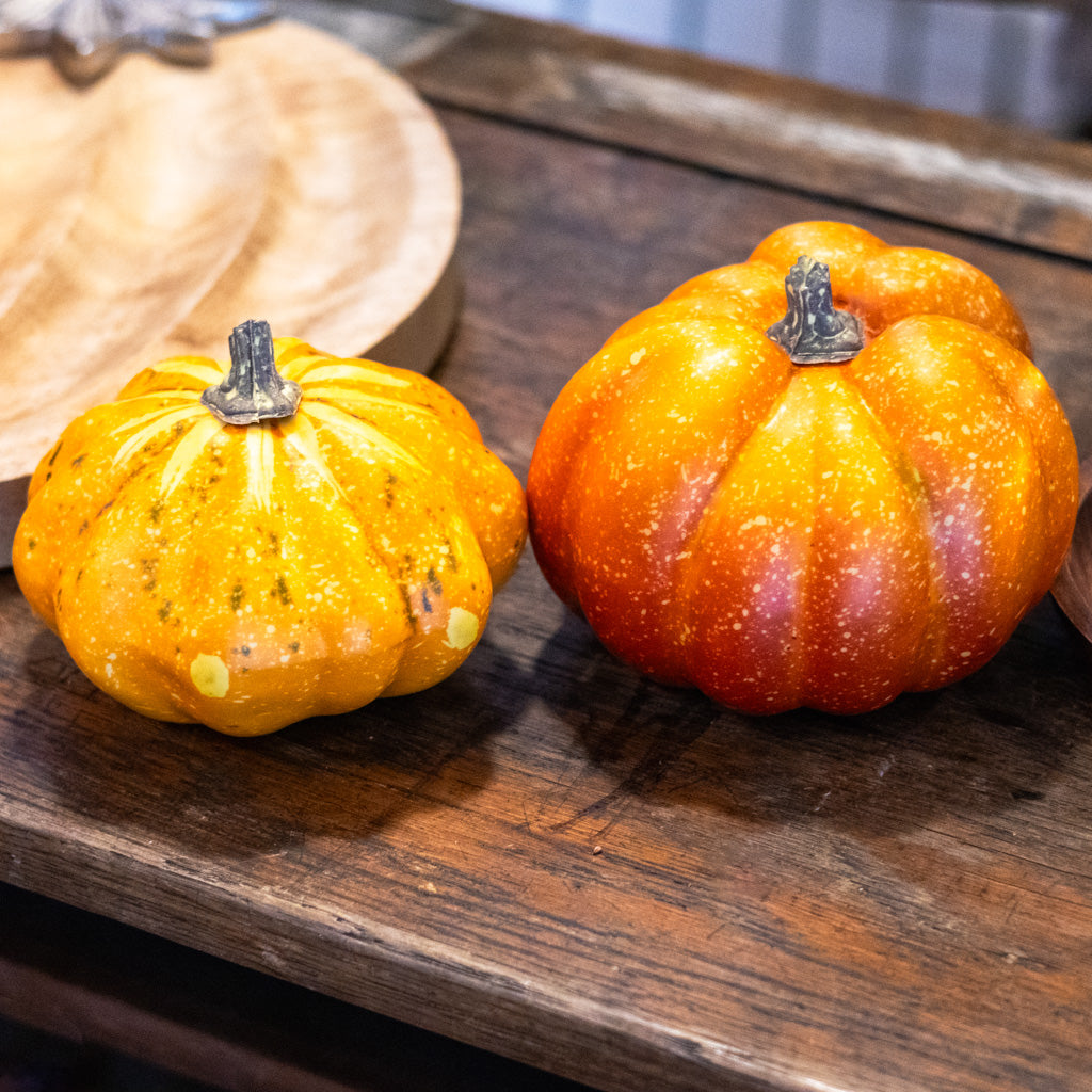Bag of Six Pumpkins and Gourds
