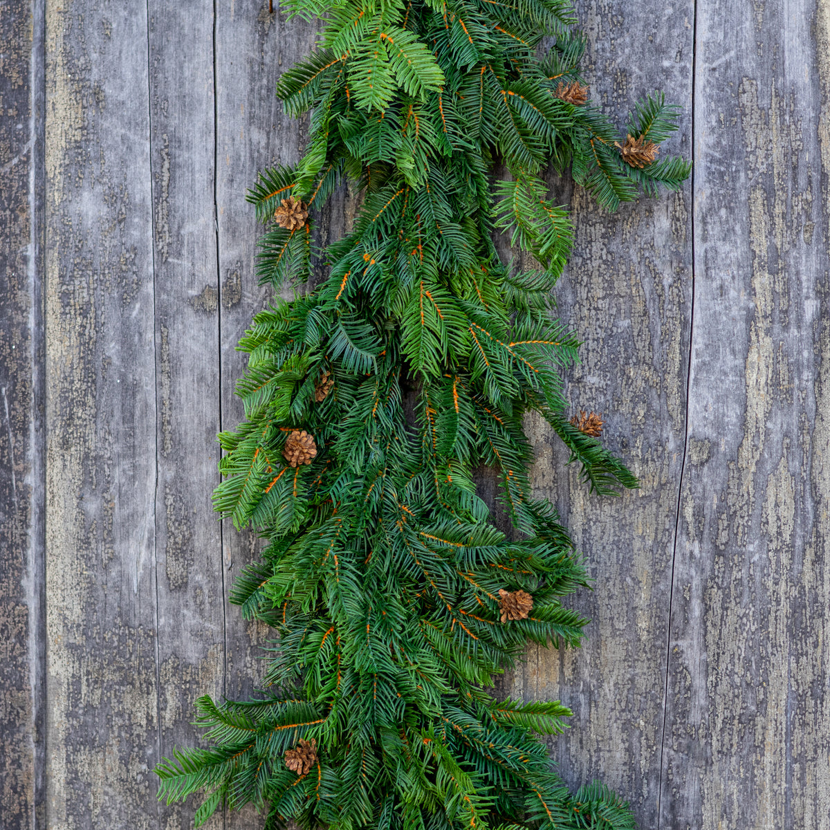 5 ft. UV Hemlock Garland