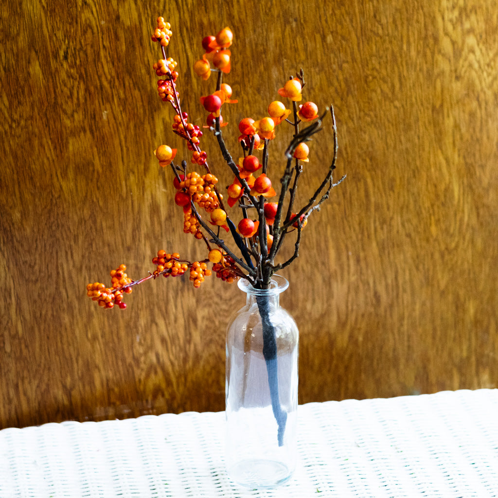 Bittersweet and Twig Mini