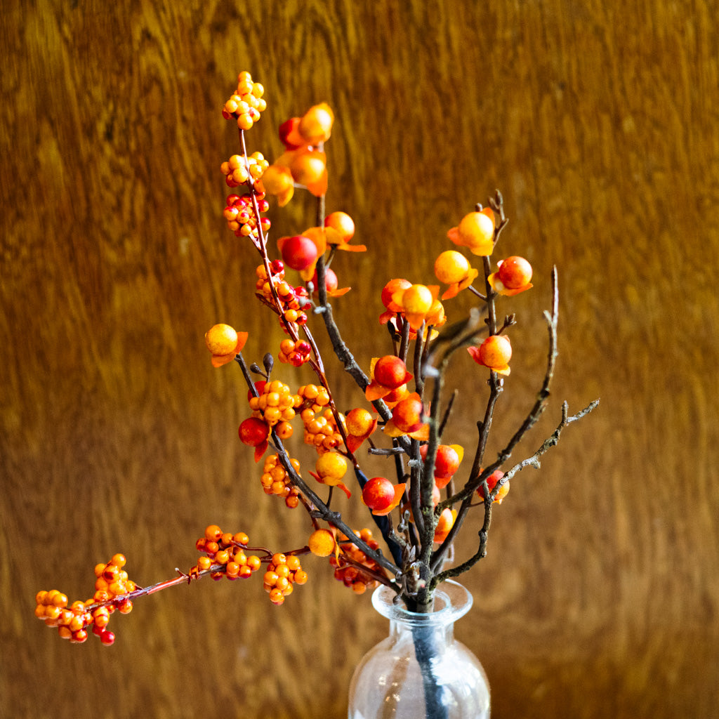 Bittersweet and Twig Mini