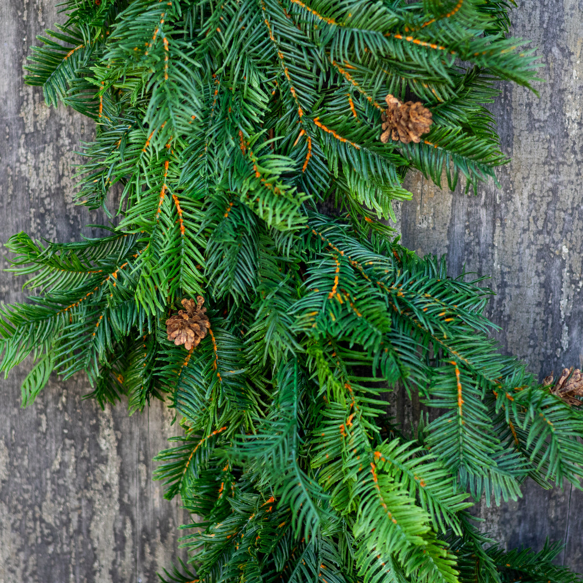 5 ft. UV Hemlock Garland