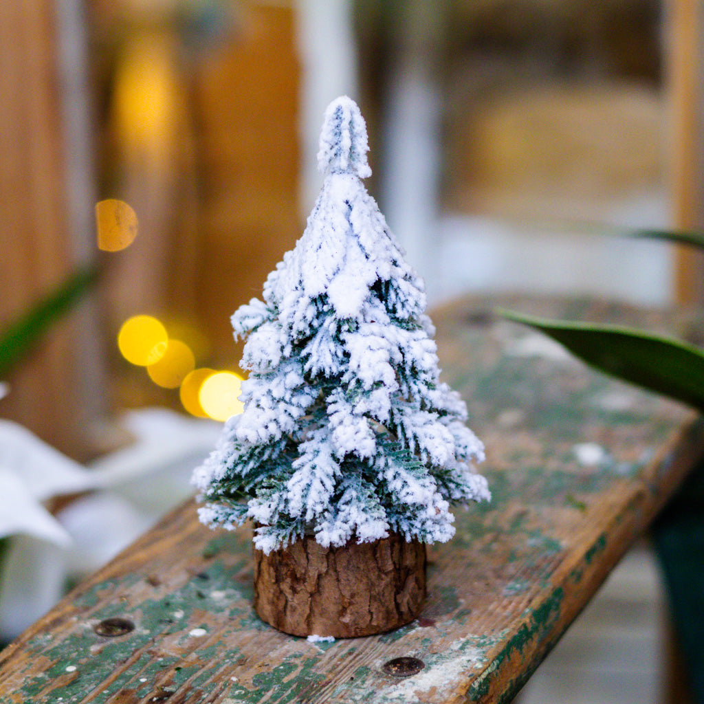 Mini Snow Covered Tree on Wood Base