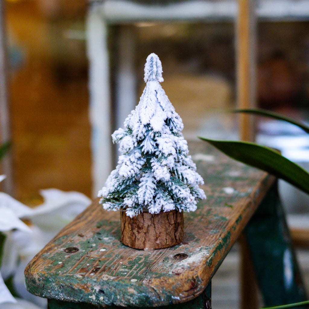 Mini Snow Covered Tree on Wood Base