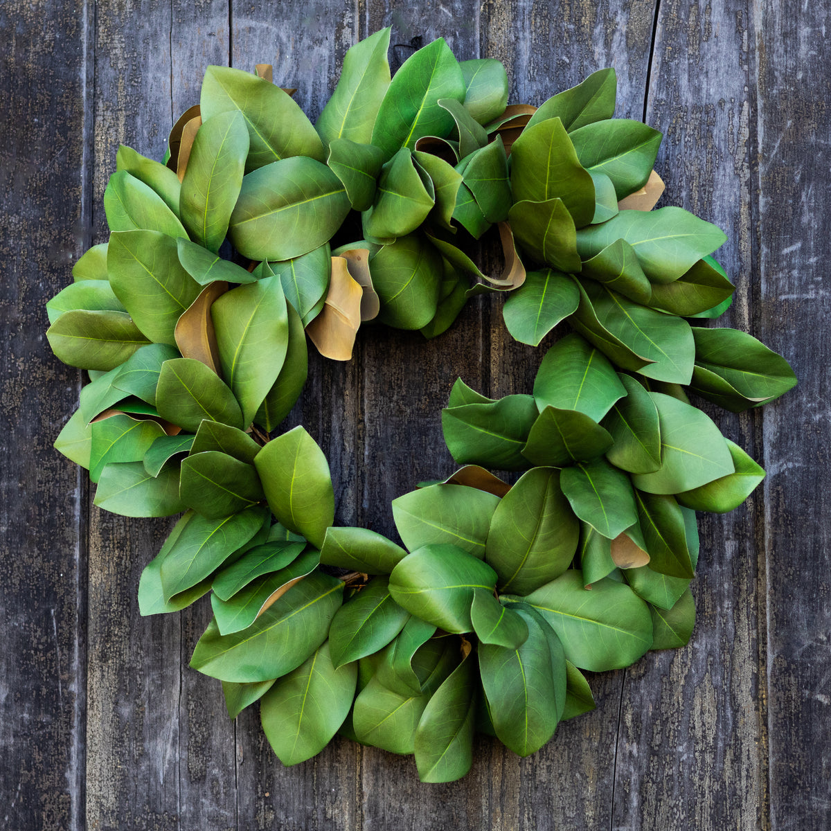 24"D Magnolia Wreath