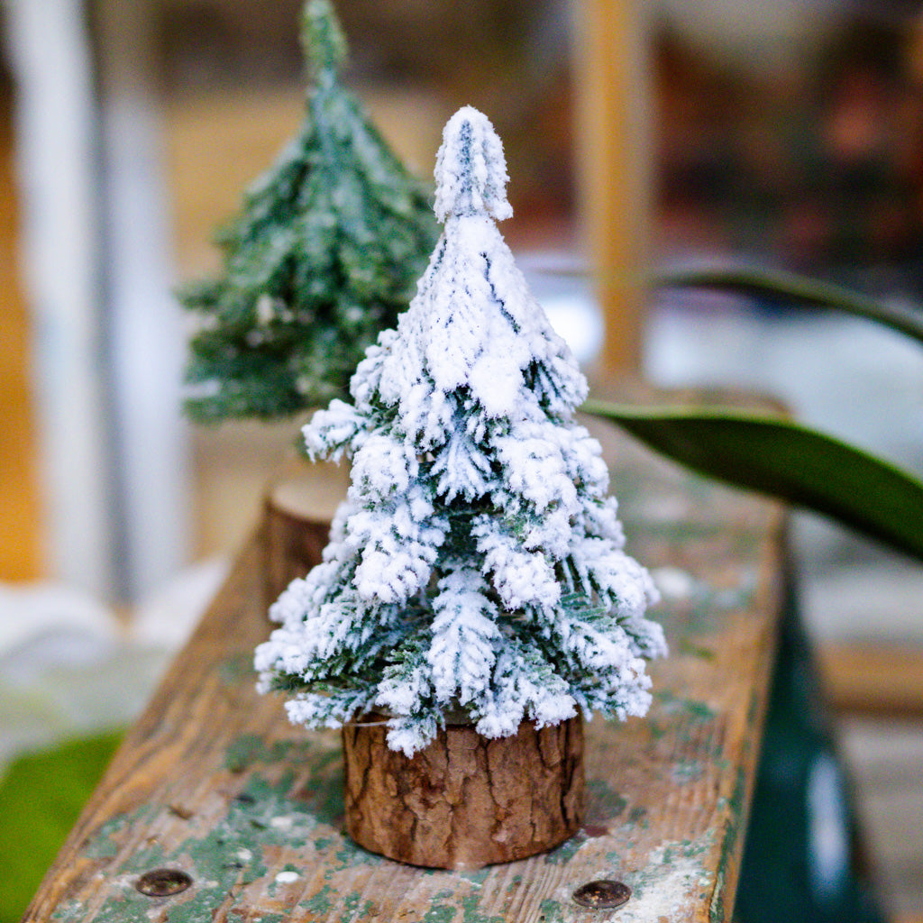 Mini Snow Covered Tree on Wood Base