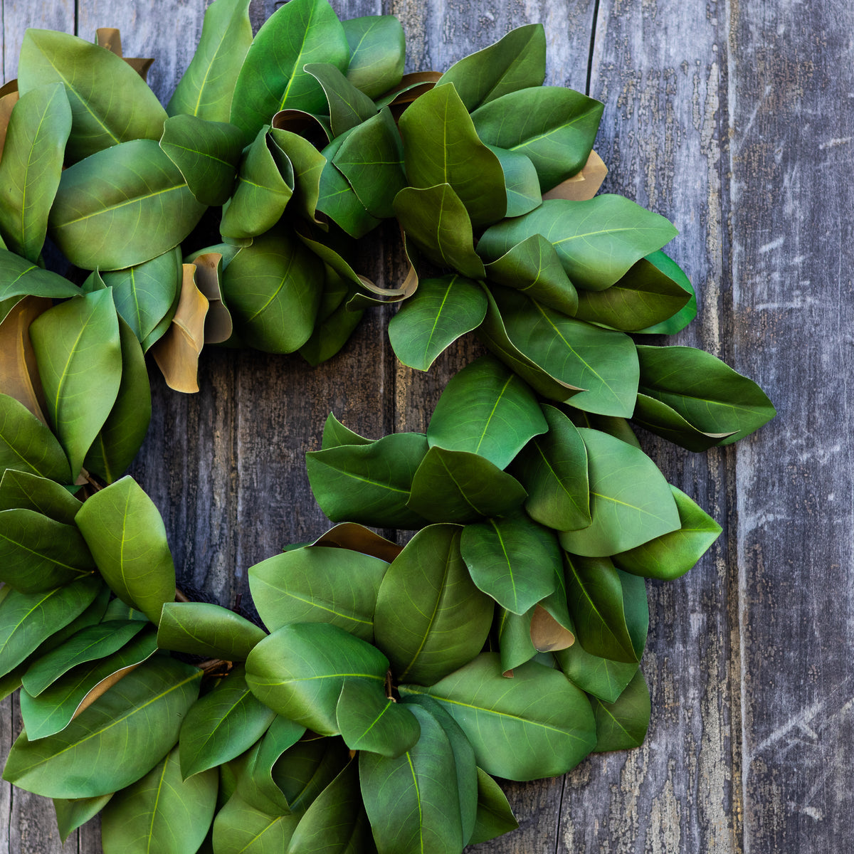 24"D Magnolia Wreath