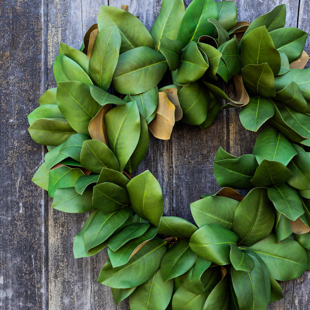 24"D Magnolia Wreath