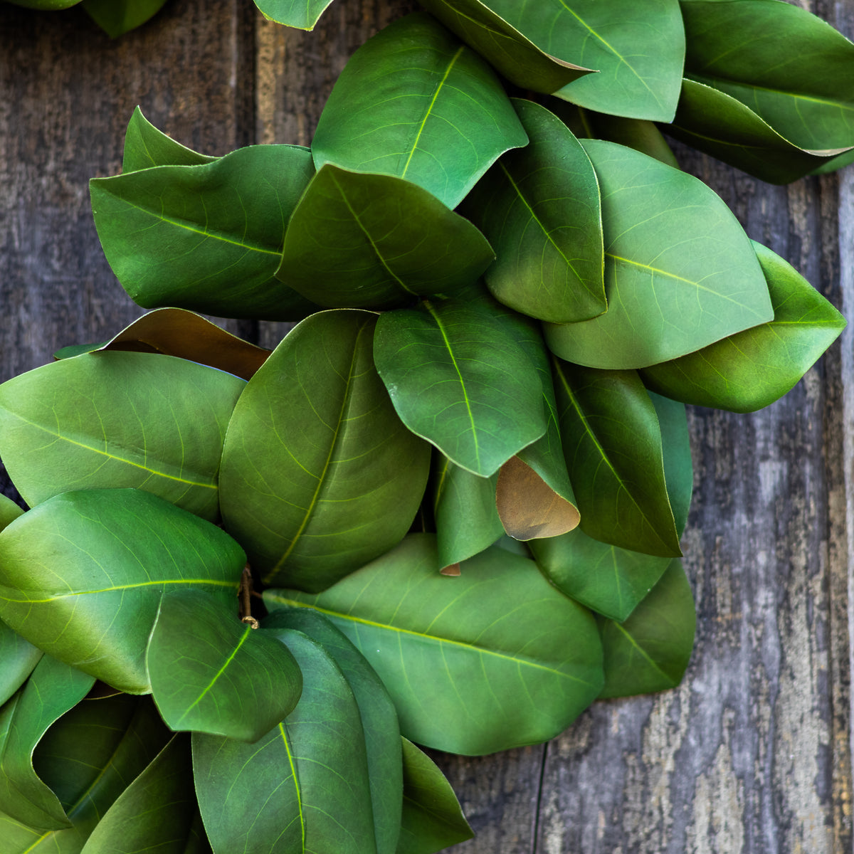 24"D Magnolia Wreath