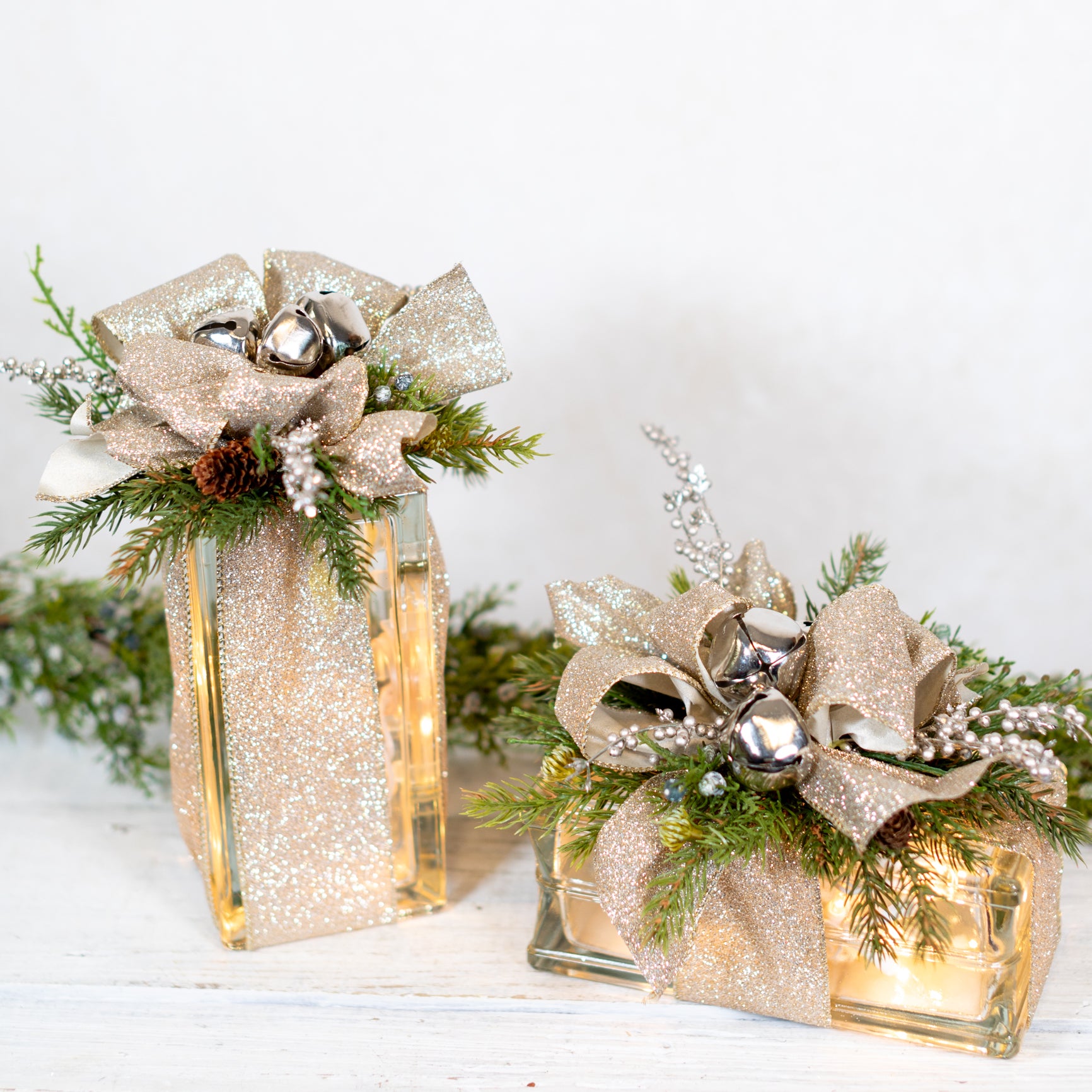 Shimmer Shine Holiday Vertical Light Block