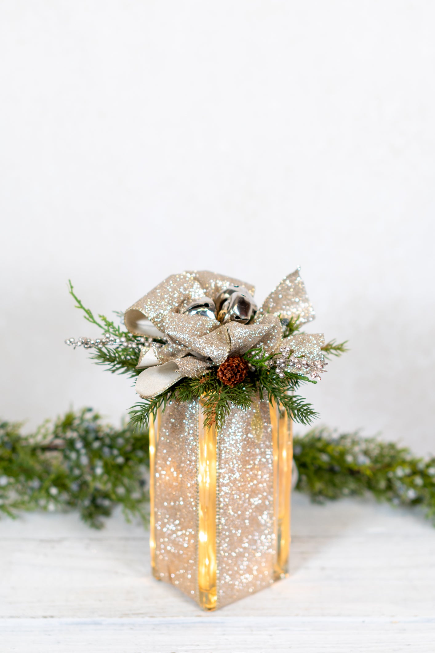 Shimmer Shine Holiday Vertical Light Block