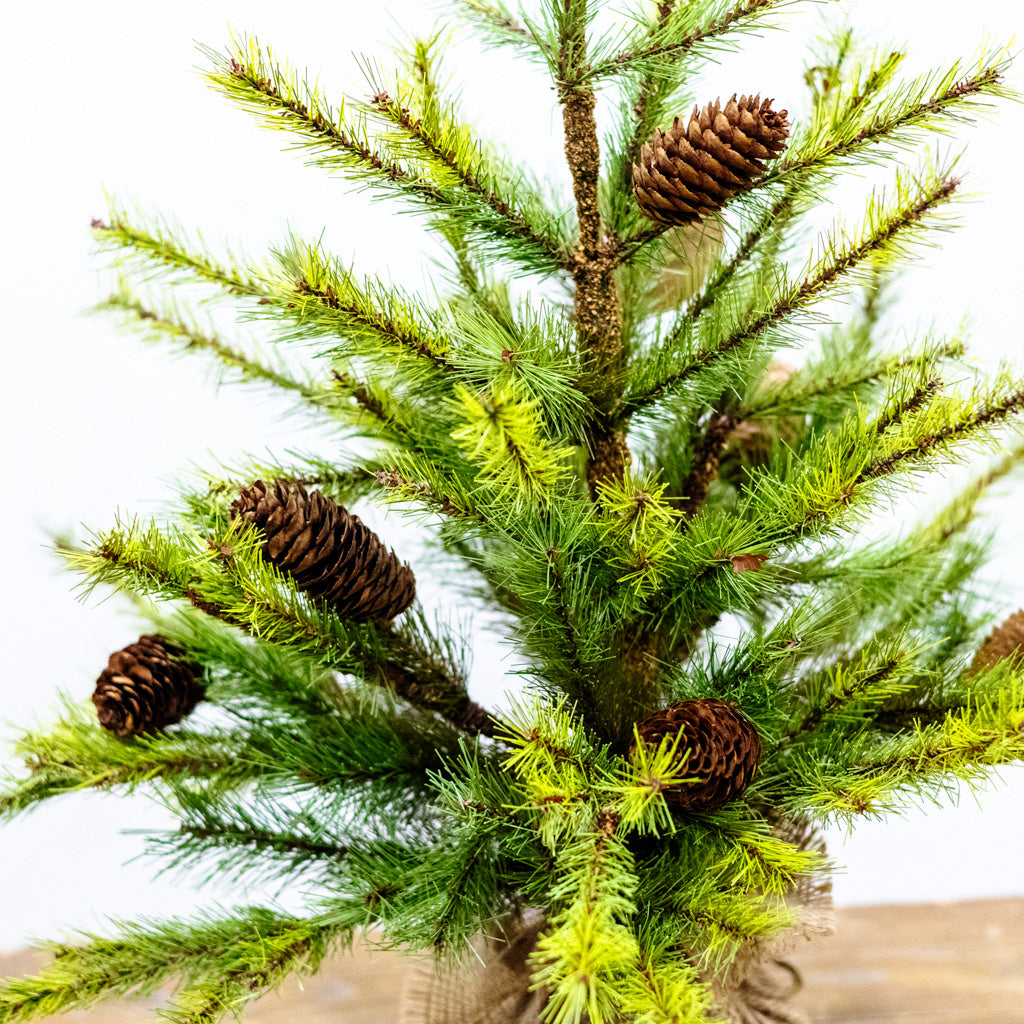 Short Pine Pinecone Tree with Burlap Bag