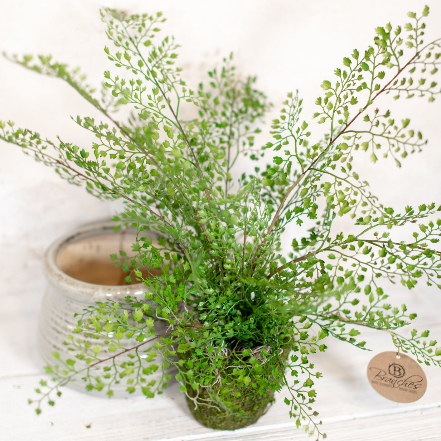 Maidenhair Fern Drop In