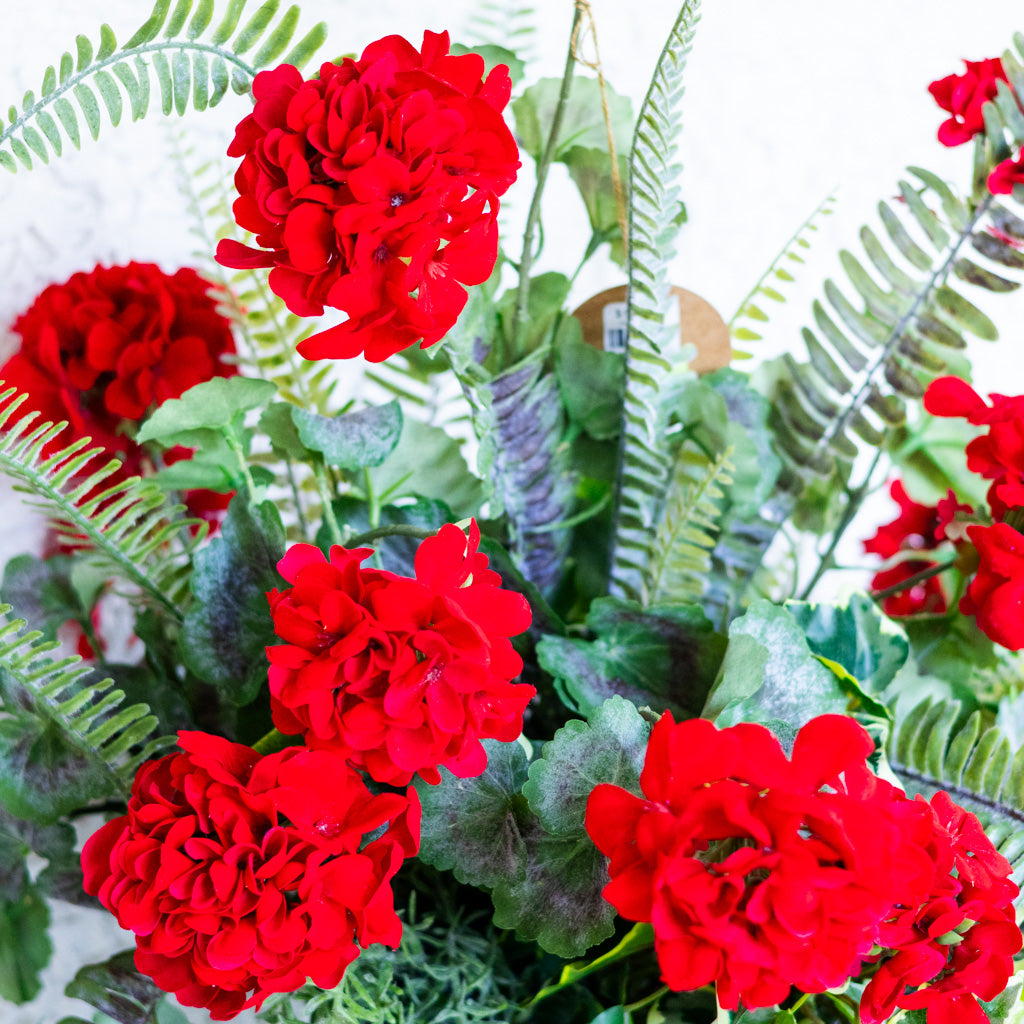 Heritage Red Geranium Drop In