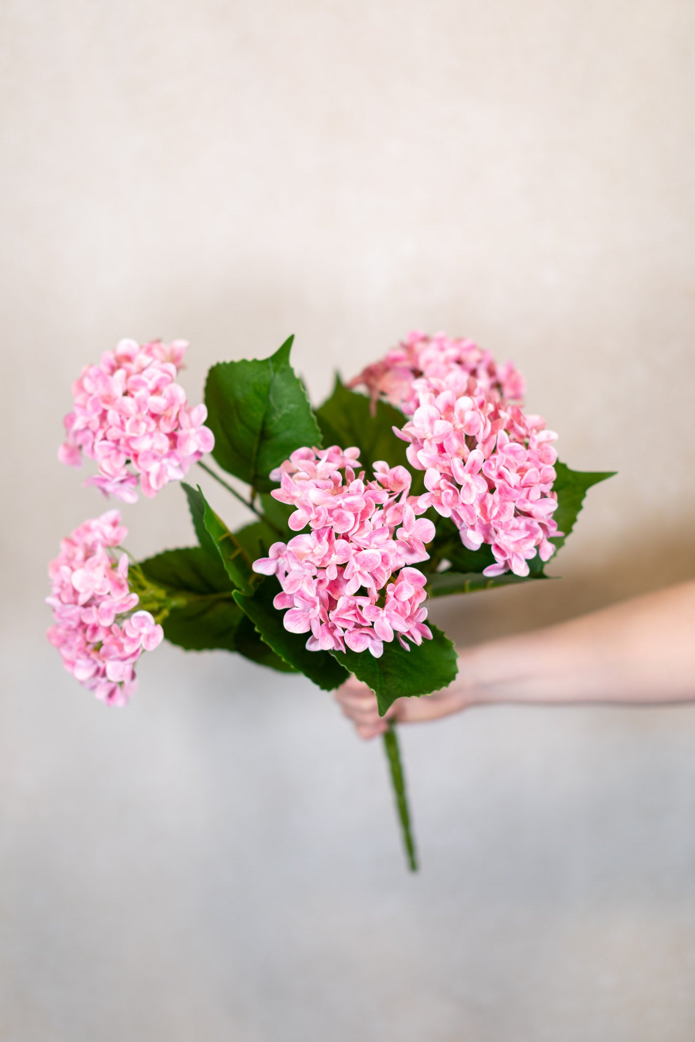 Pink Hydrangea Garden Bush Natural Touch
