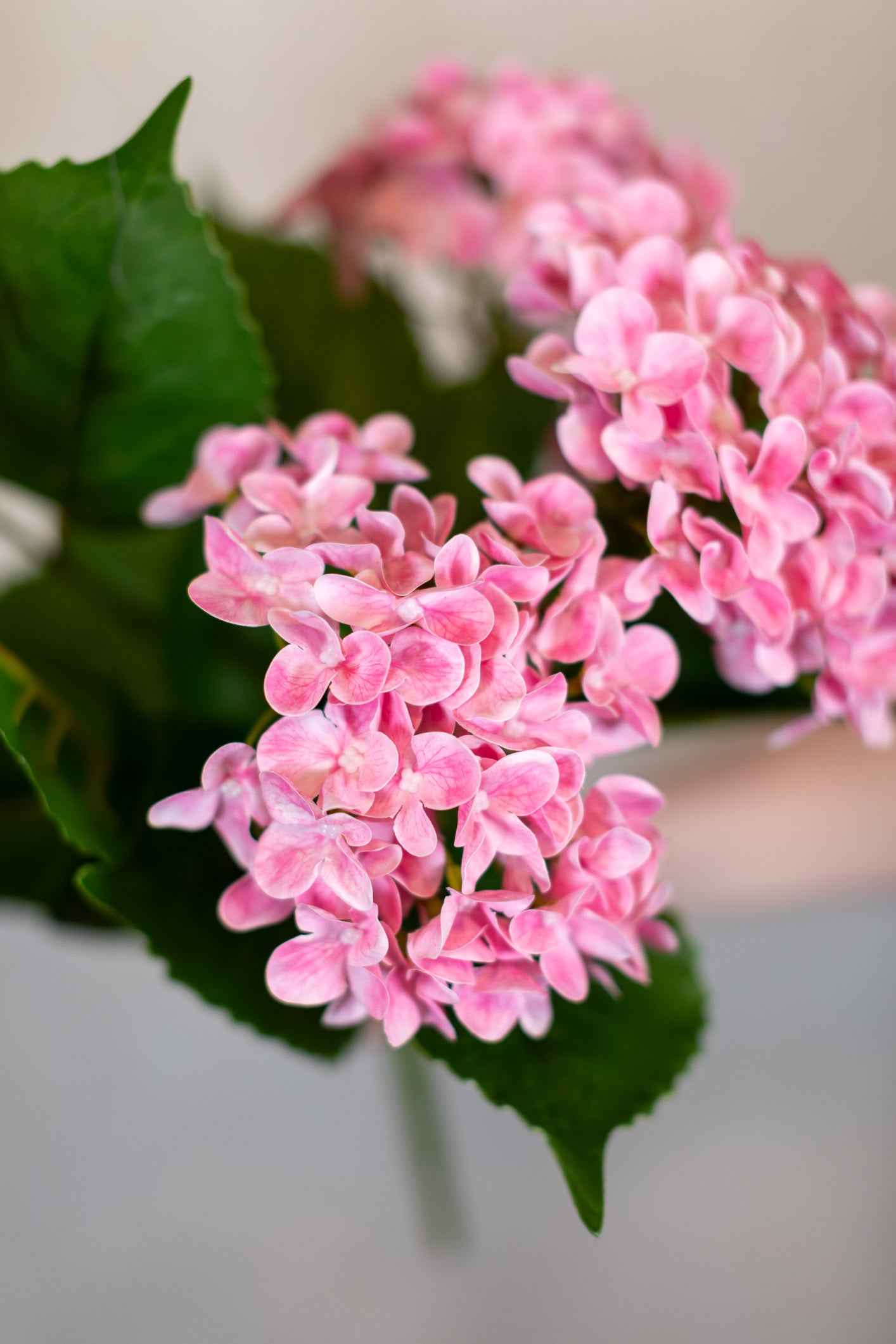 Pink Hydrangea Garden Bush Natural Touch