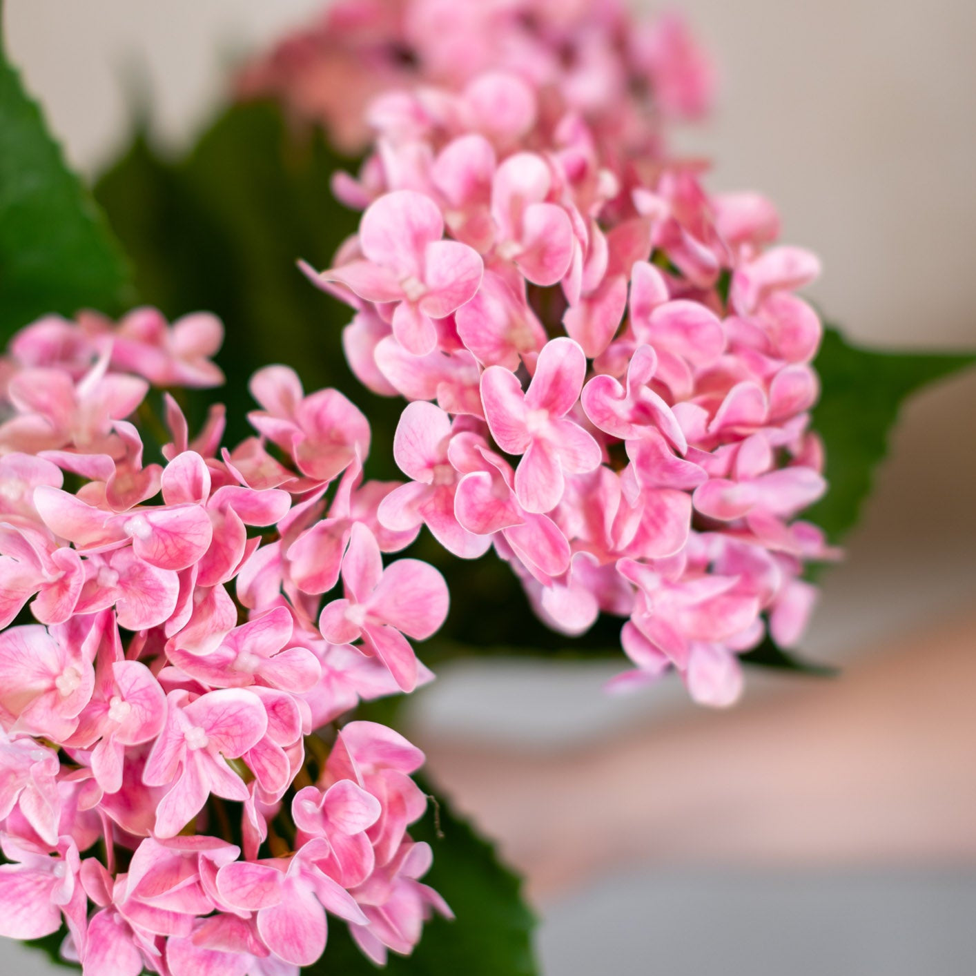 Natural Touch Garden Pink Hydrangea Bush