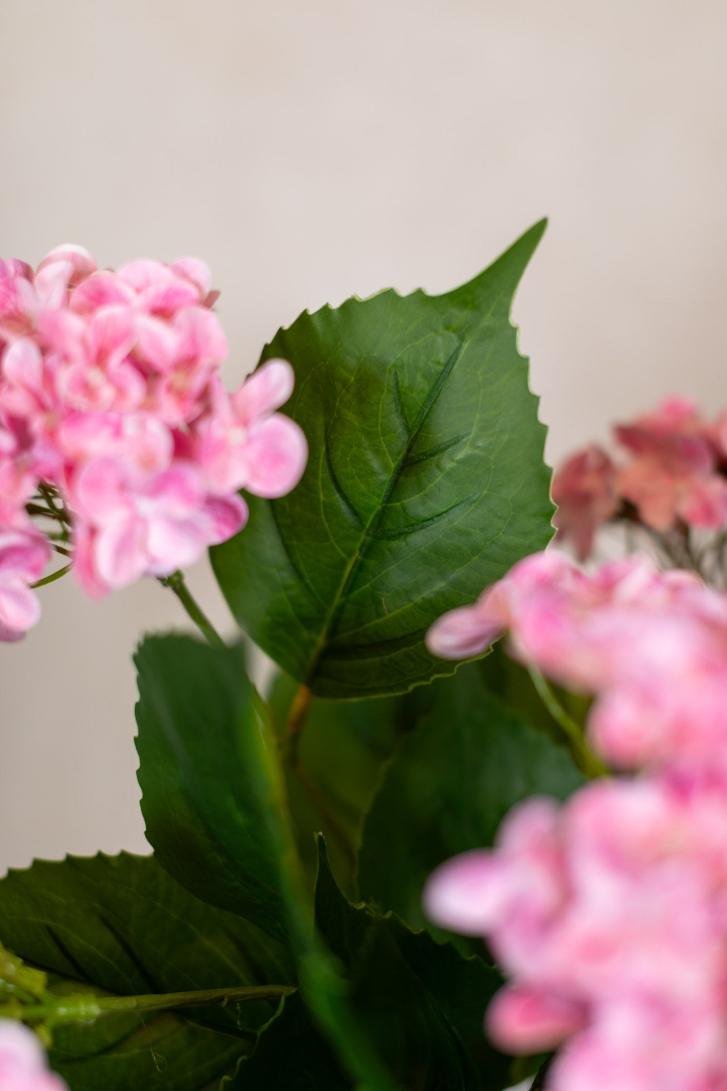 Pink Hydrangea Garden Bush Natural Touch