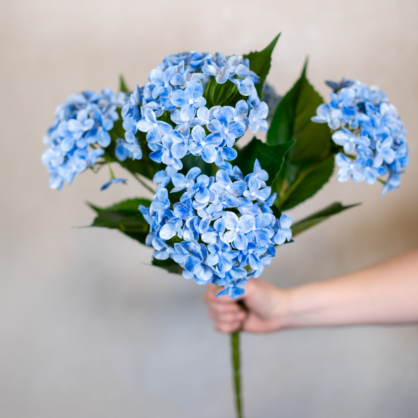 Natural Touch Garden Blue Hydrangea Bush