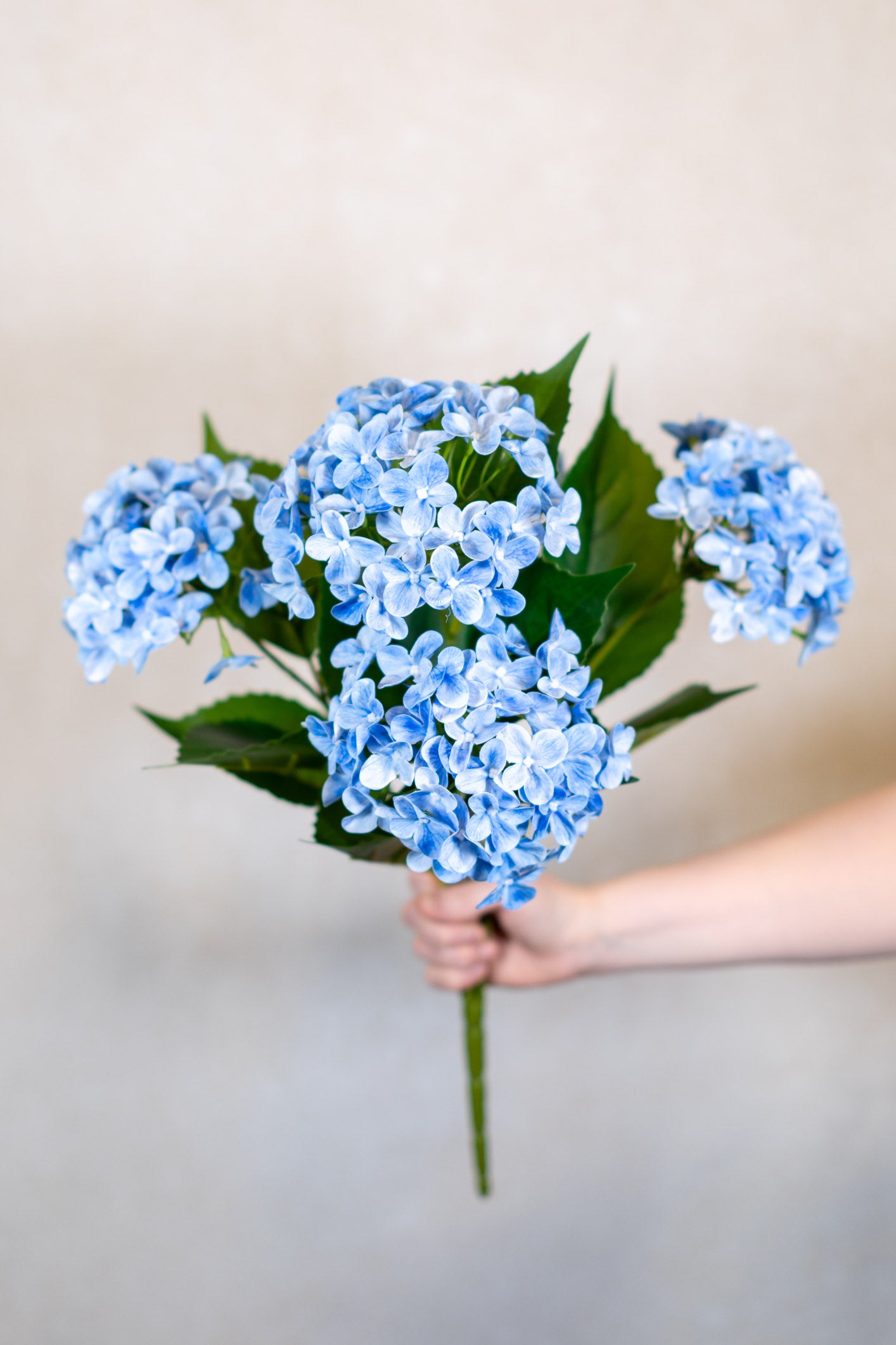 Natural Touch Garden Blue Hydrangea Bush