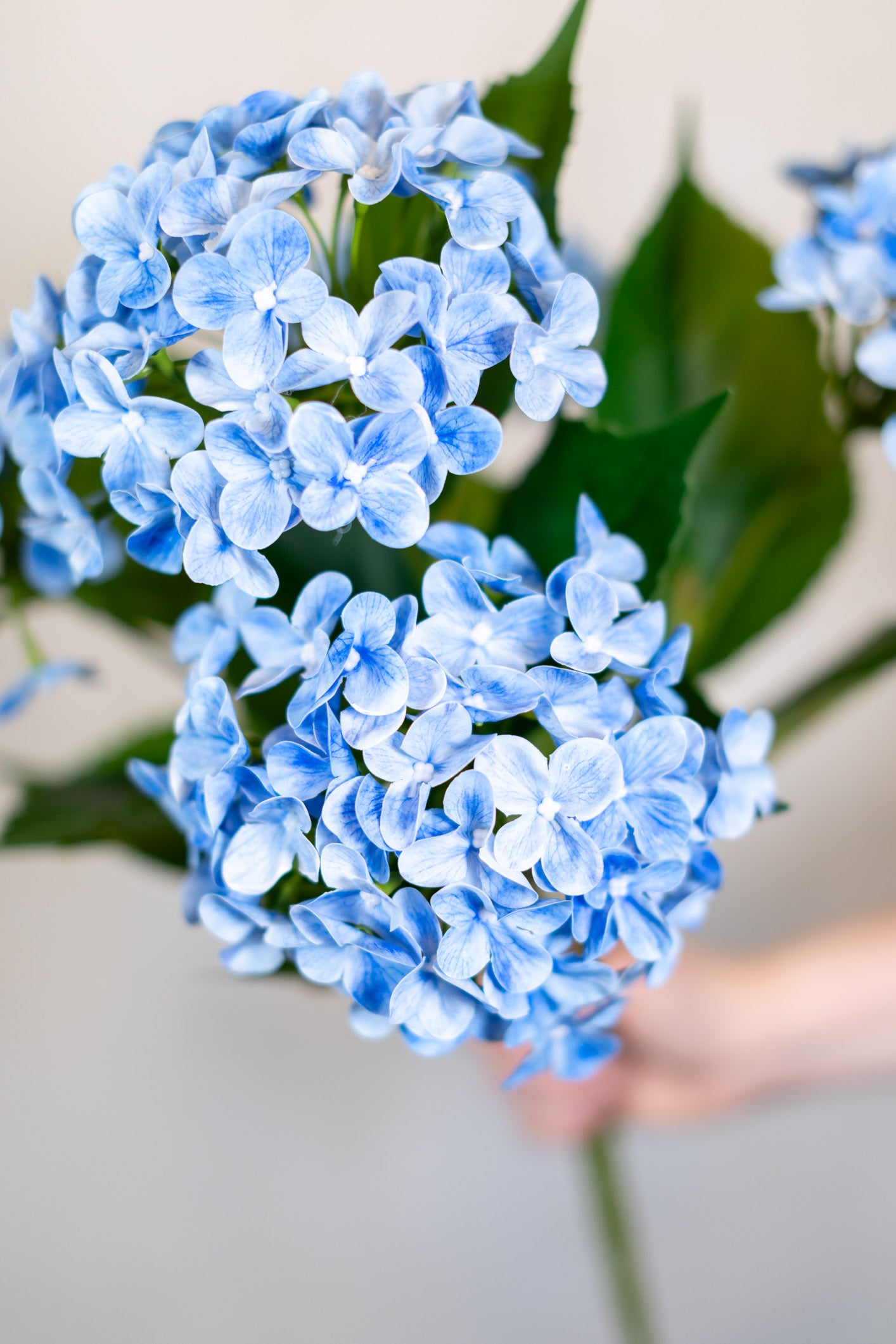 Natural Touch Garden Blue Hydrangea Bush