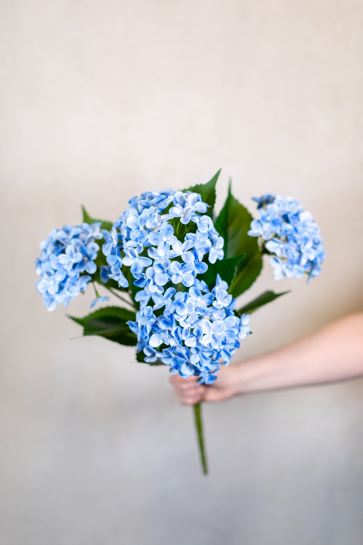 Natural Touch Garden Blue Hydrangea Bush