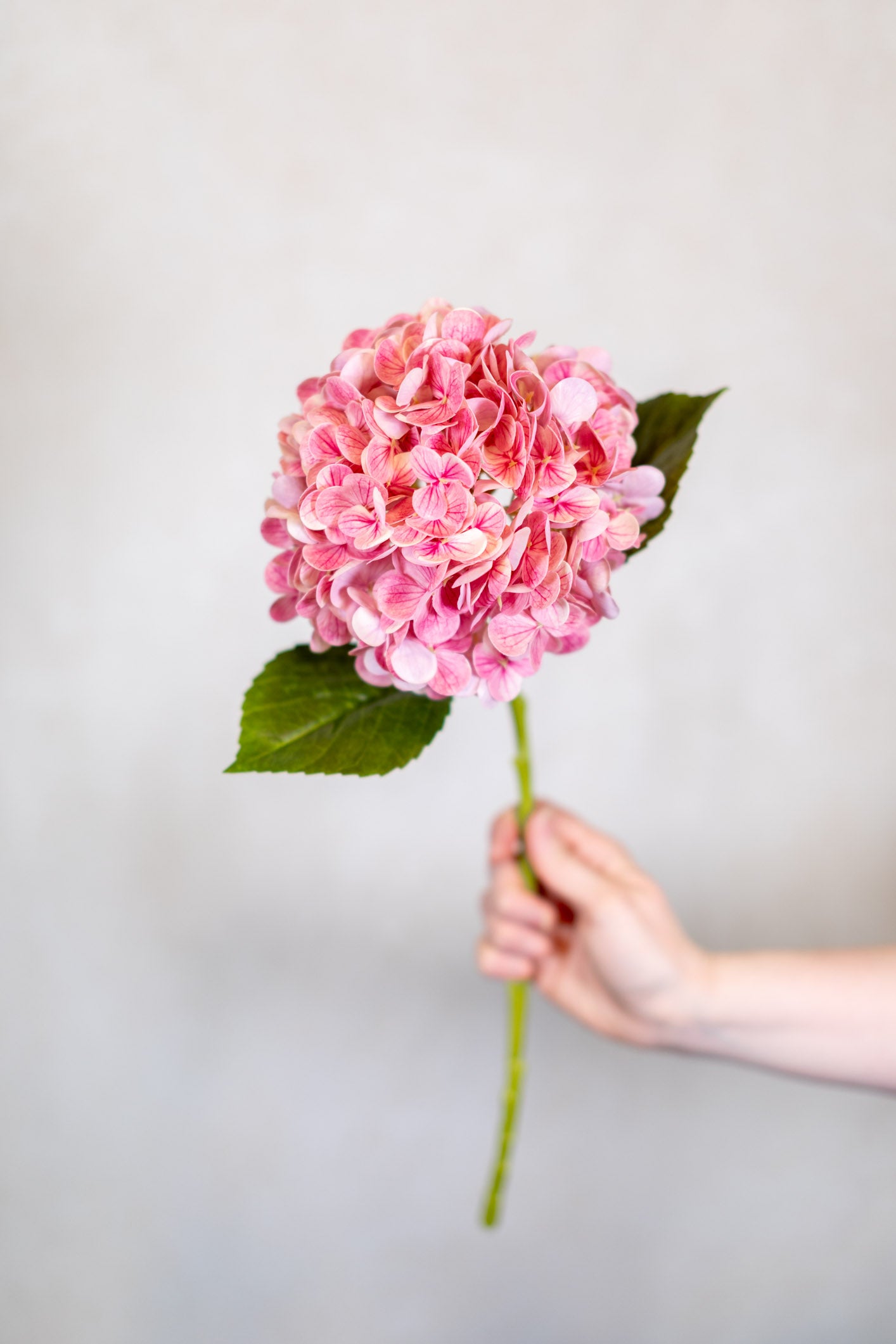 Real Touch Hot Pink Hydrangea