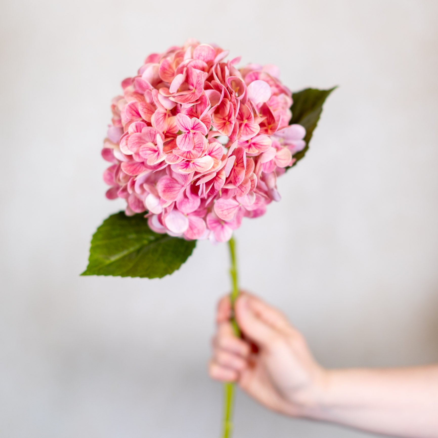 Real Touch Hot Pink Hydrangea