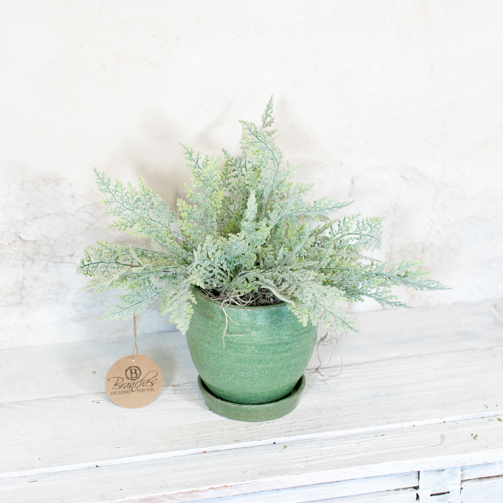 Artemisia Fern Drop In