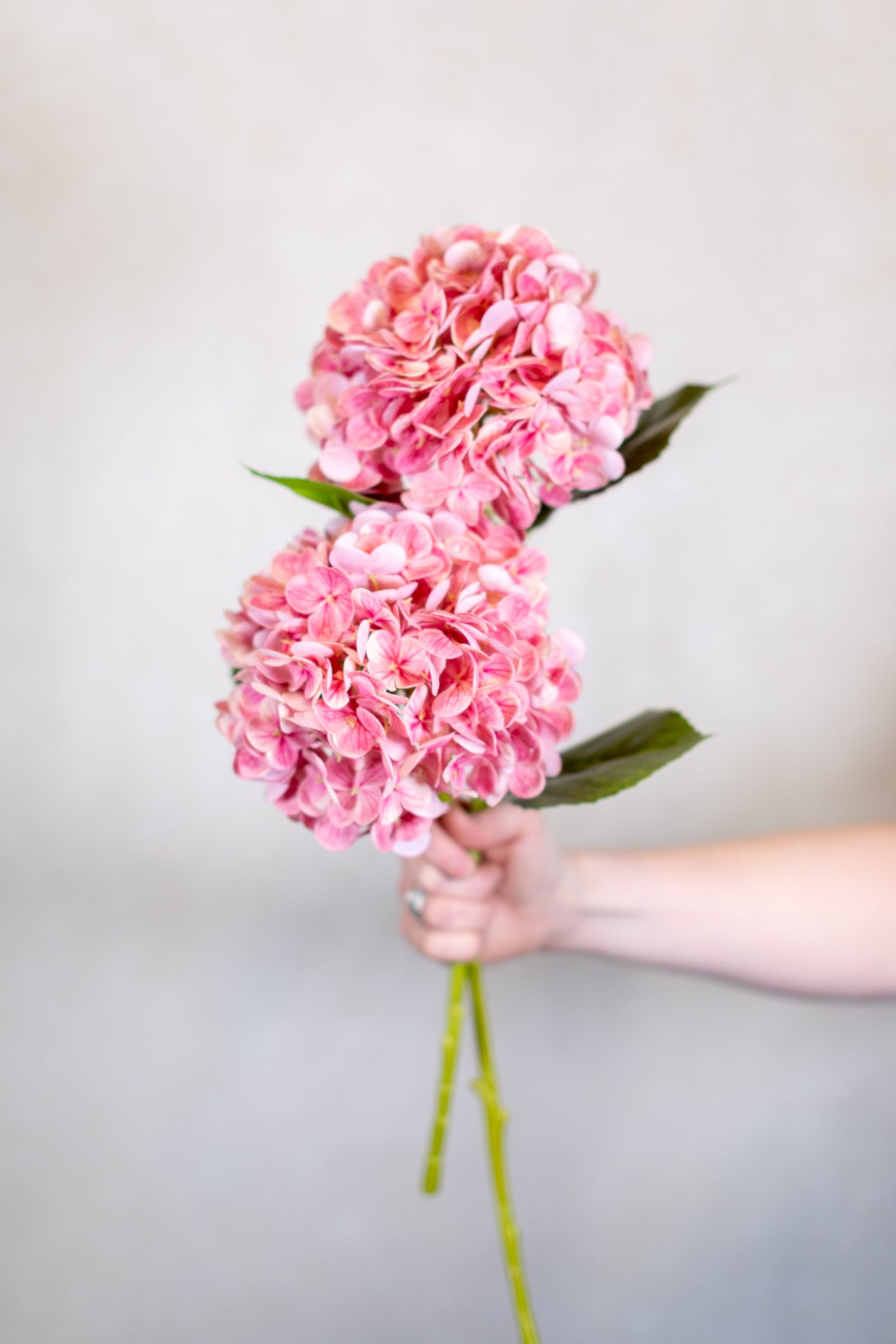 Real Touch Hot Pink Hydrangea