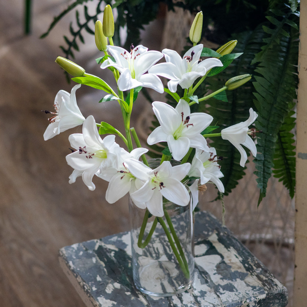 White Lily with Five Blooms and Three Buds Stem