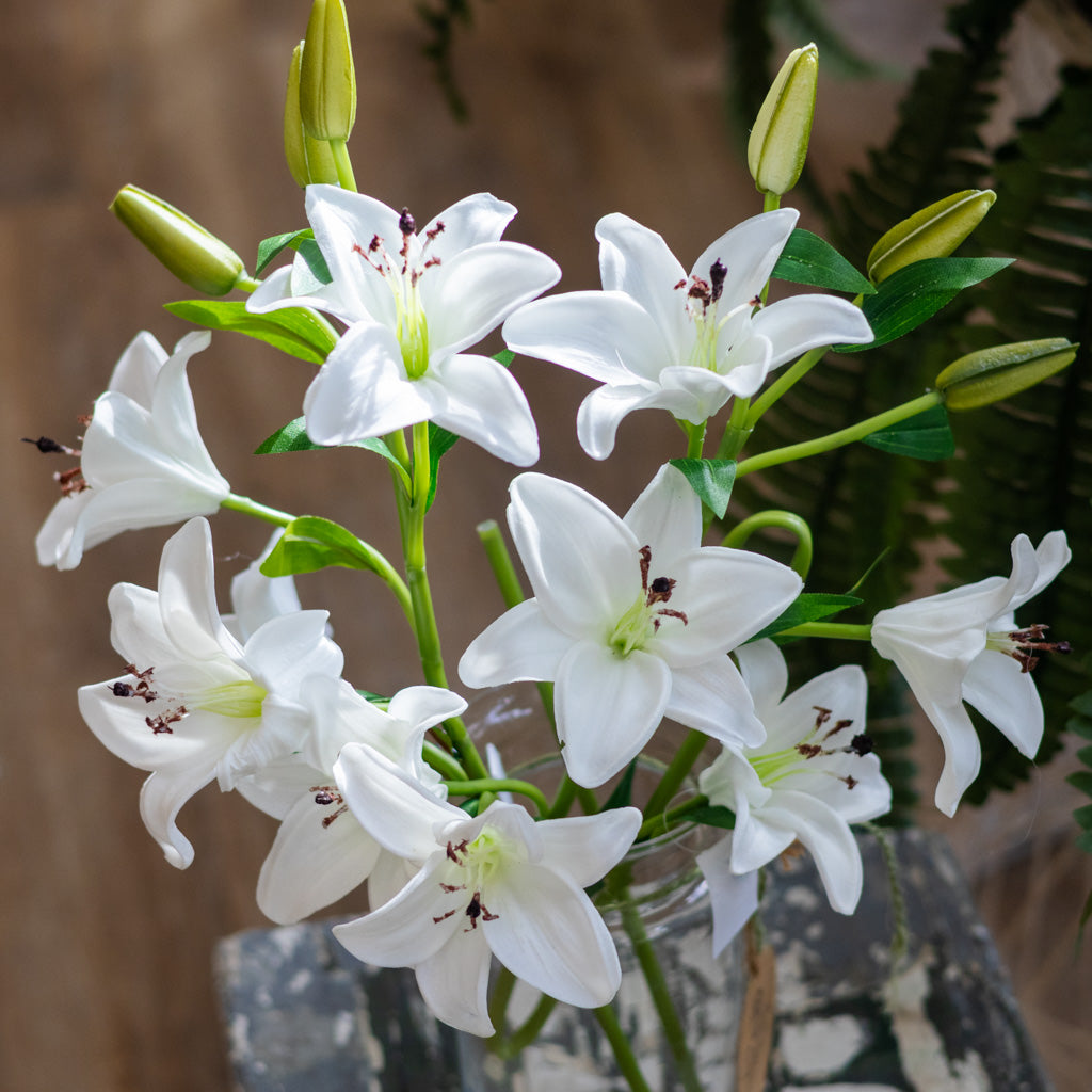 White Lily with Five Blooms and Three Buds Stem