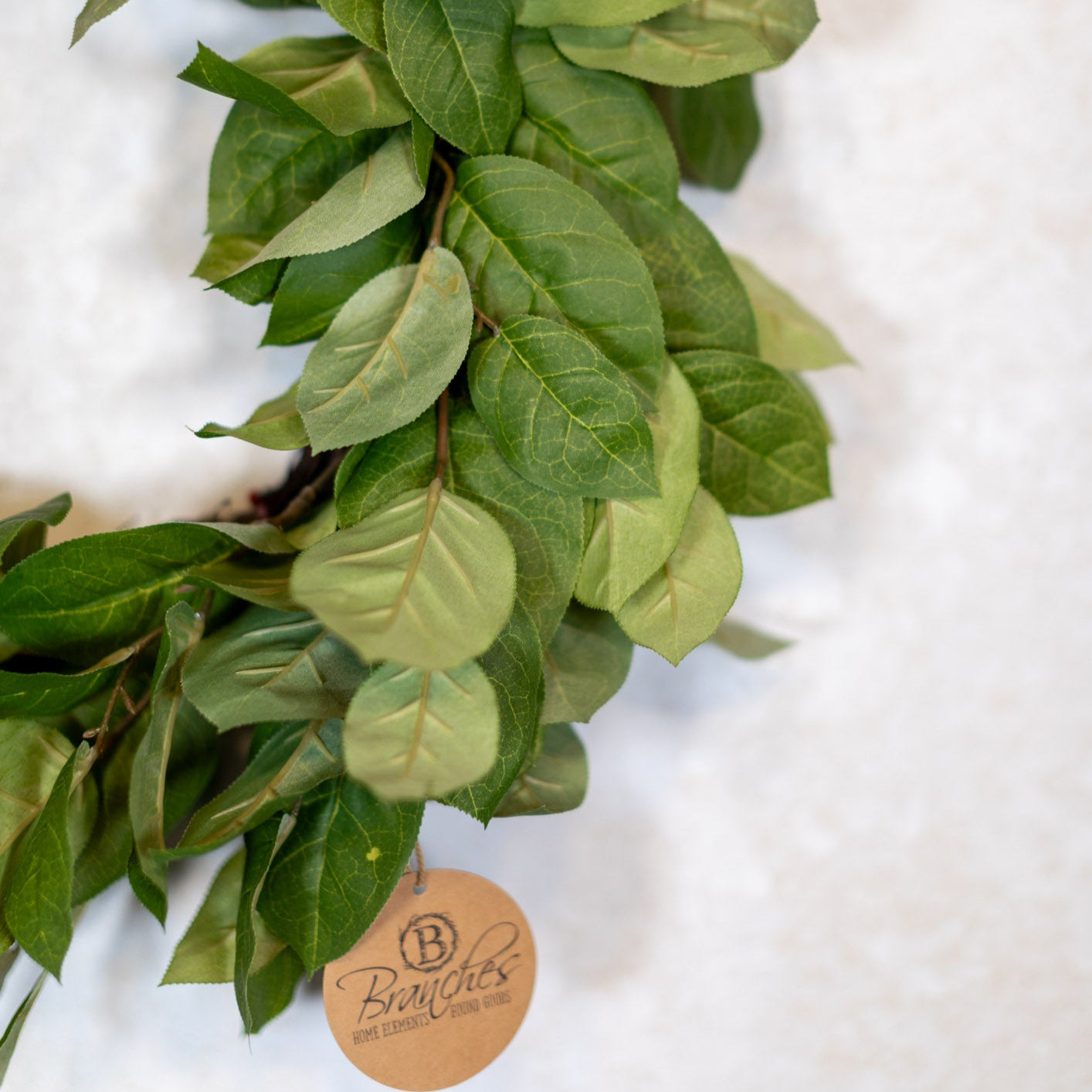 24"D Salal Leaf Wreath