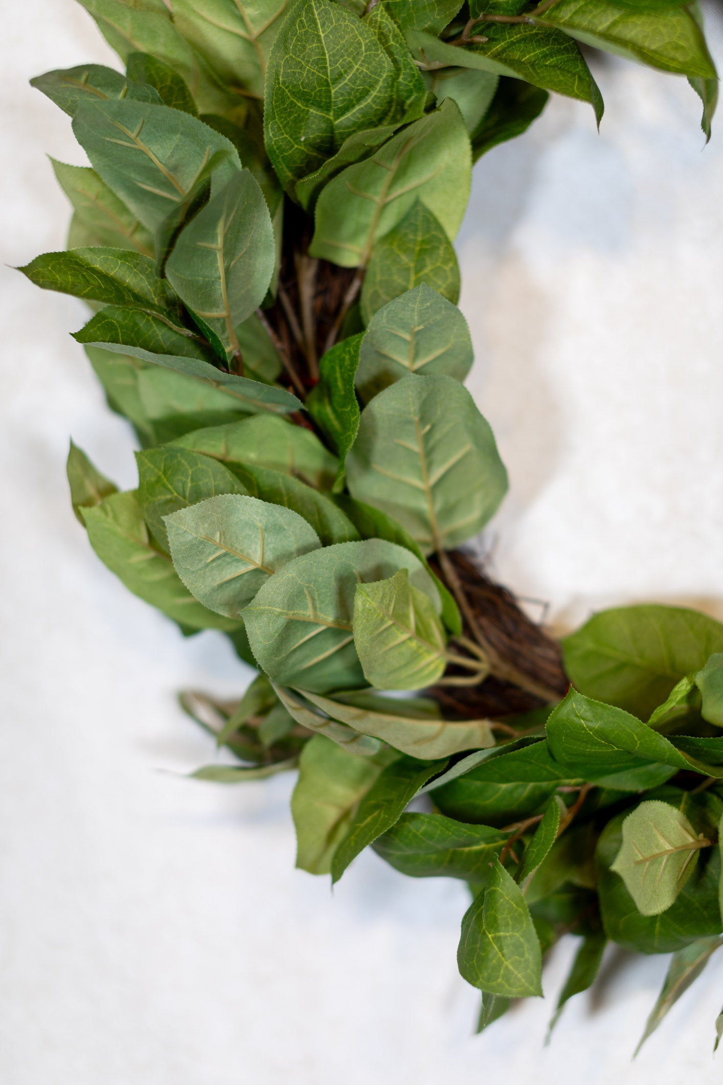 24"D Salal Leaf Wreath