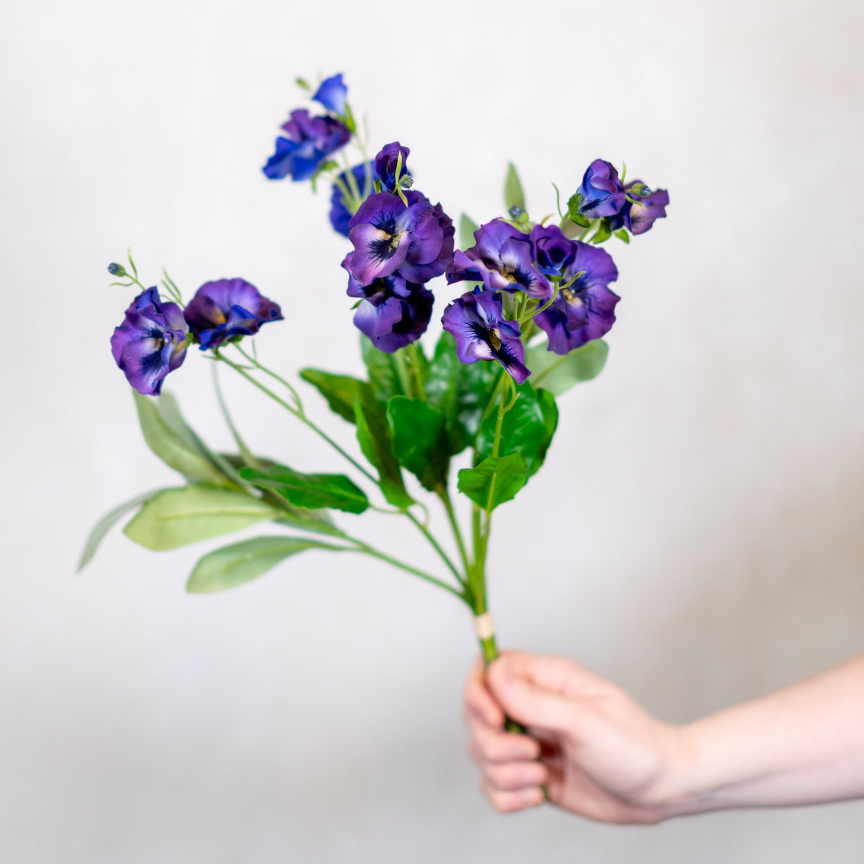 Just Cut Pansy Stem Bundle Indigo