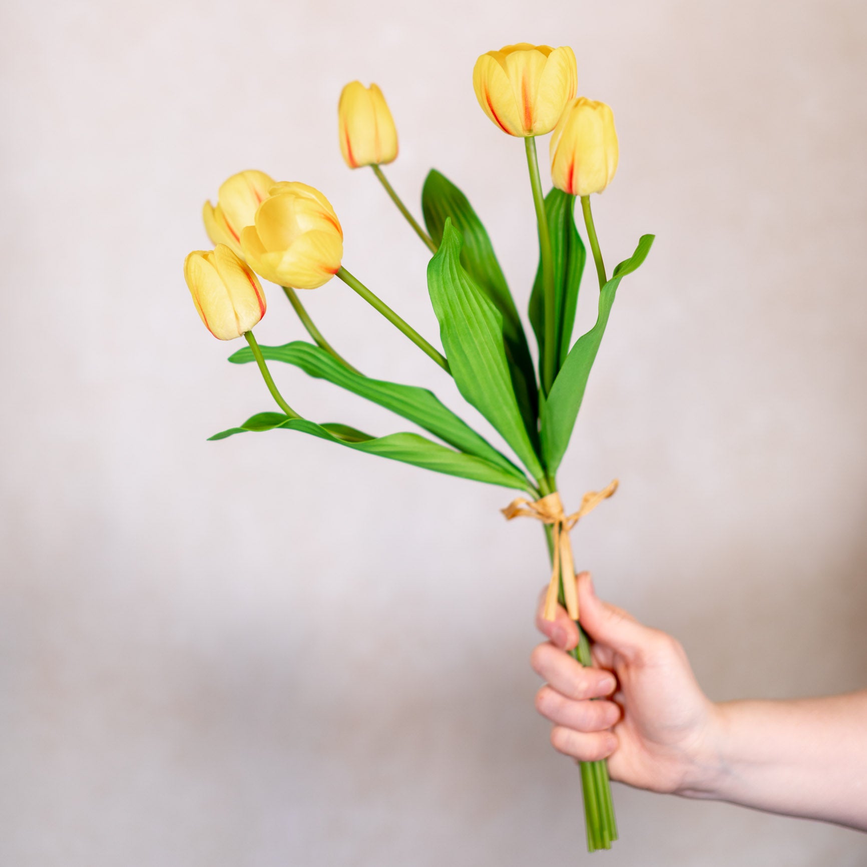 Tulip Bundle of Six Yellow Cerise