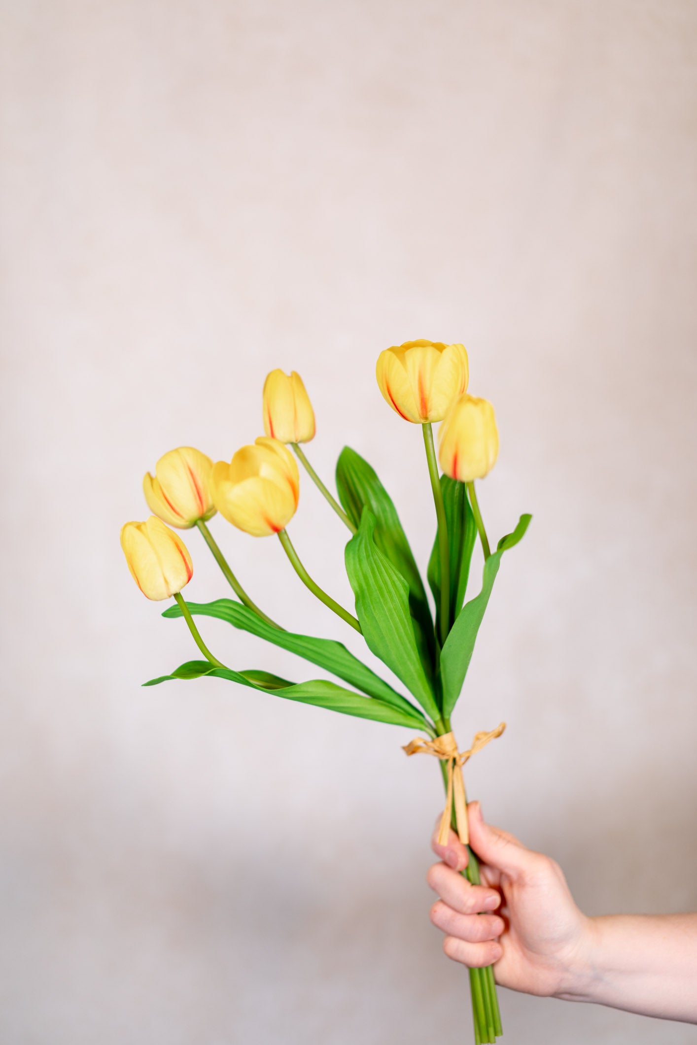 Tulip Bundle of Six Yellow Cerise