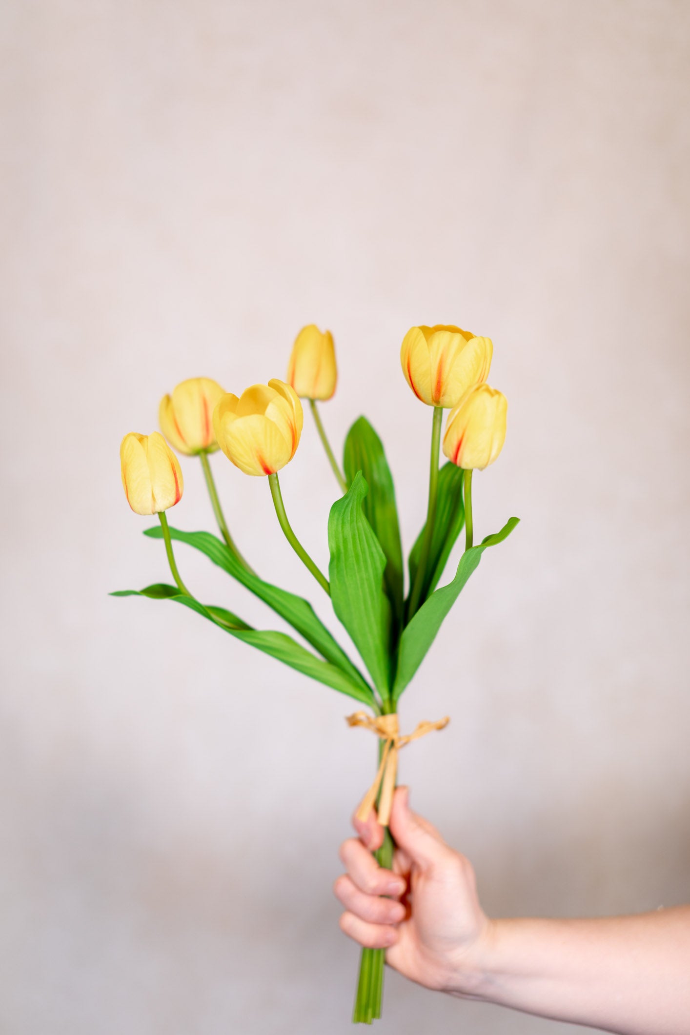 Tulip Bundle of Six Yellow Cerise