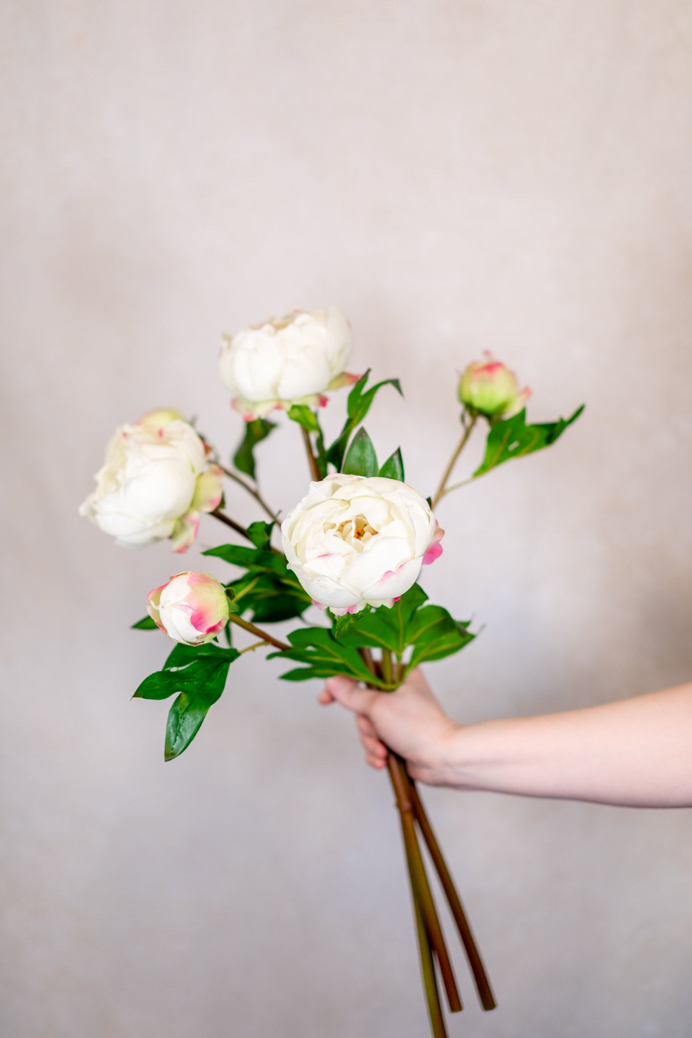 Soft Touch White Peony with Bud