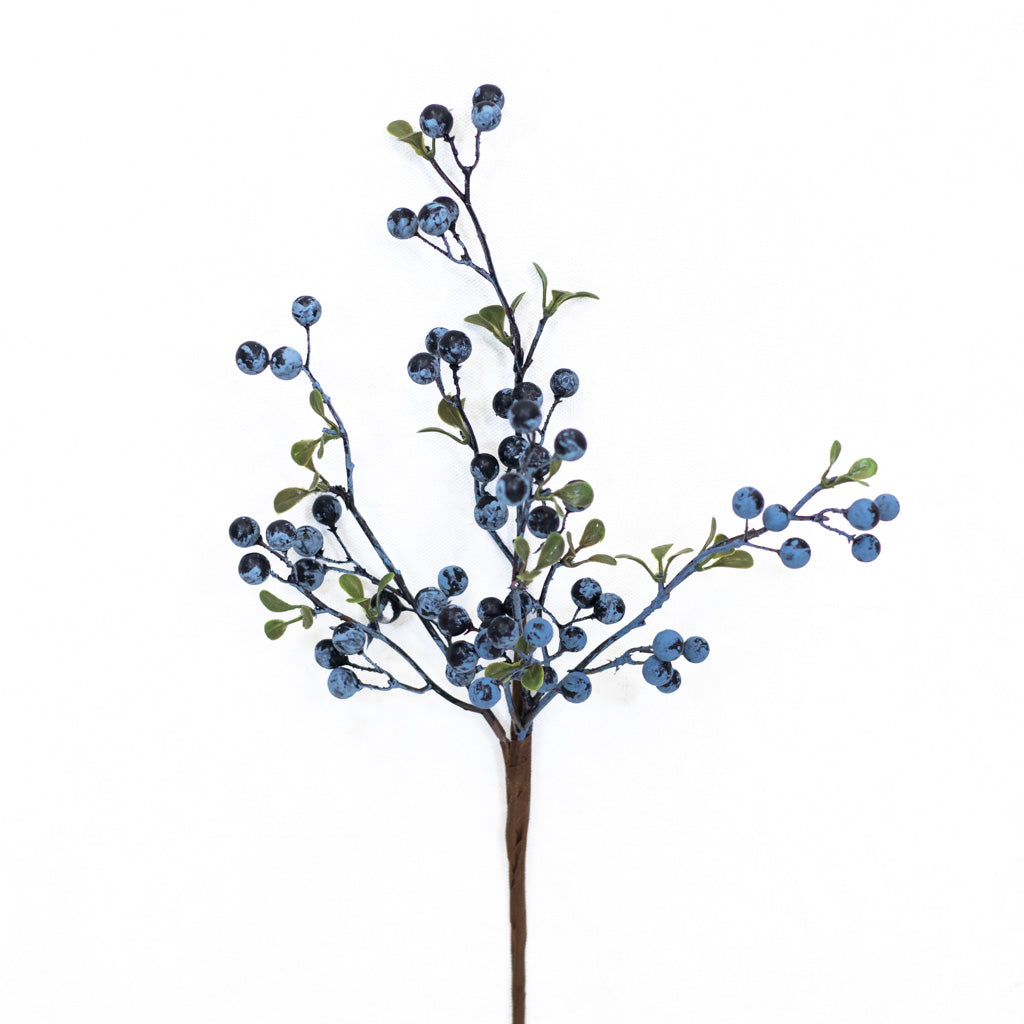 Jersey Blueberry Spray Weather Resistant