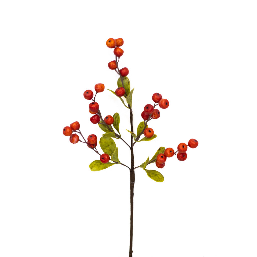 Hawthorn Orange Berry Stem Weather Resistant