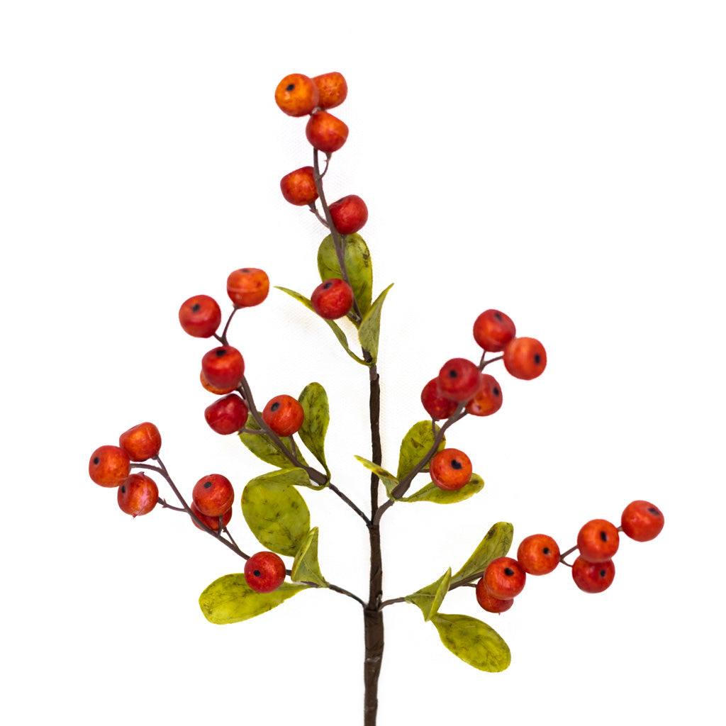 Hawthorn Orange Berry Stem Weather Resistant