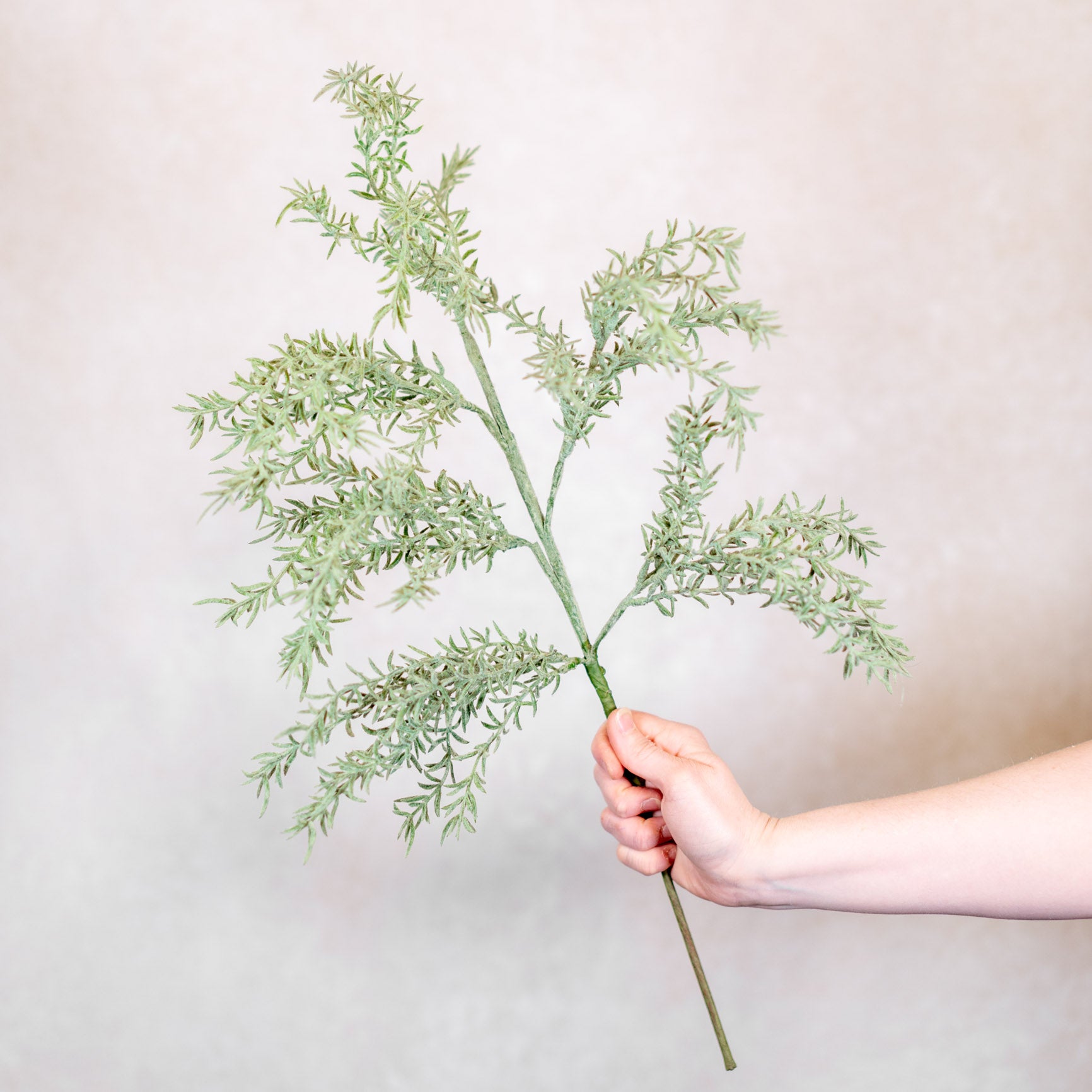 Natural Touch Rosemary Spray