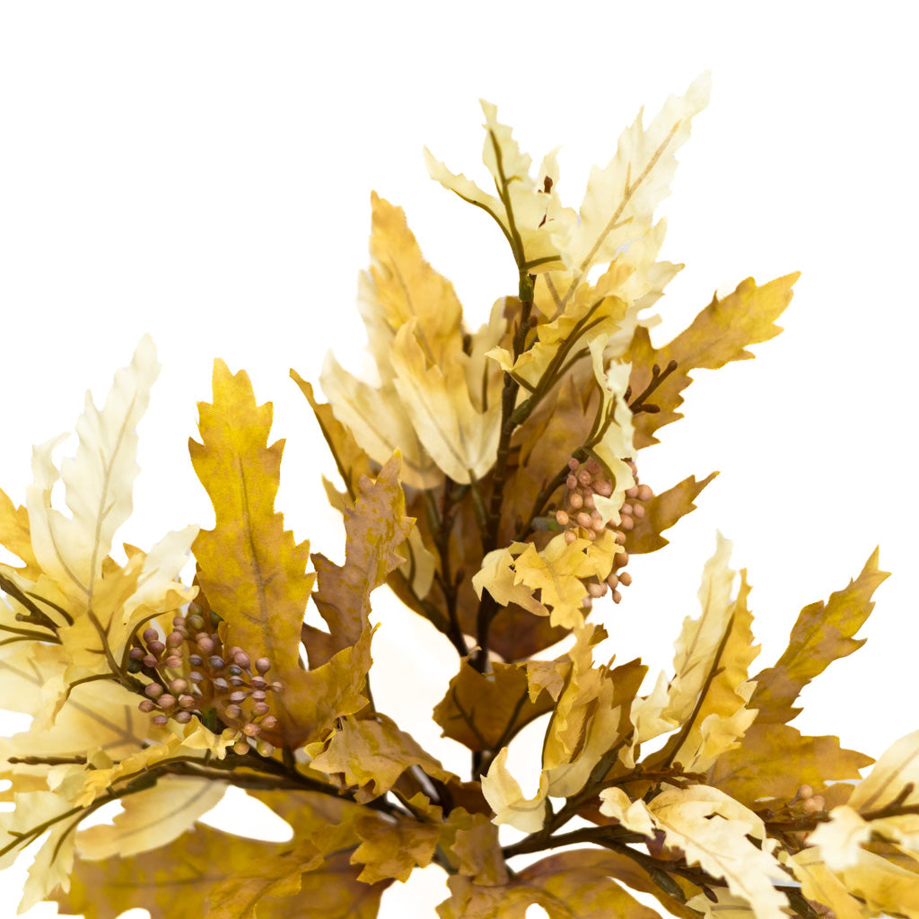 Beige Maple Leaf Bundle
