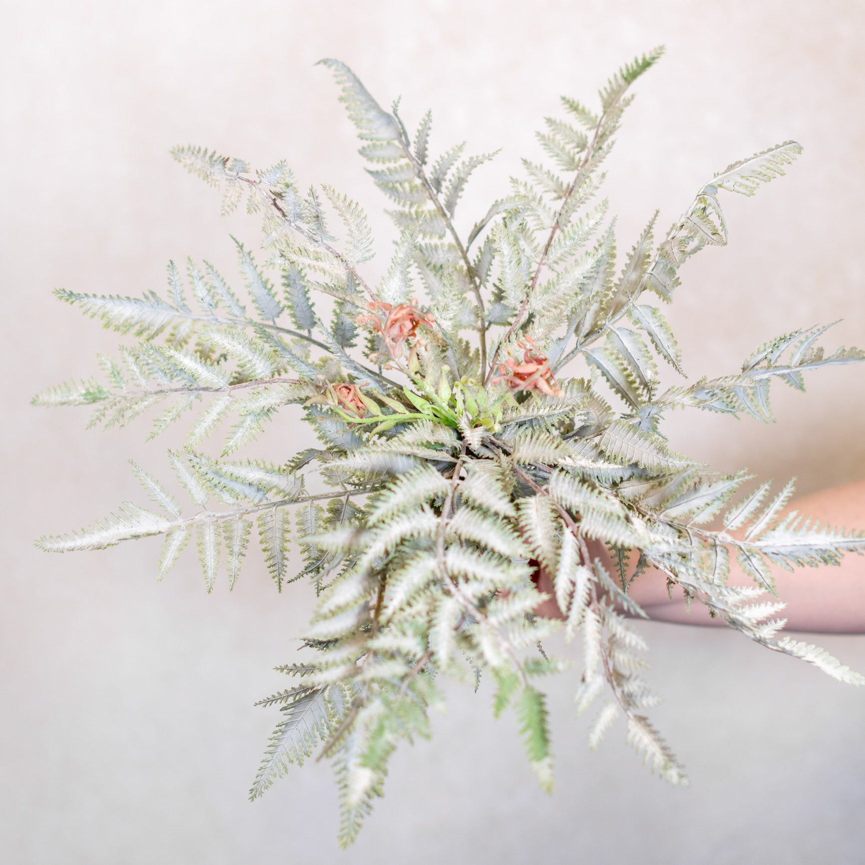 Frosted Forest Fern with Fronds