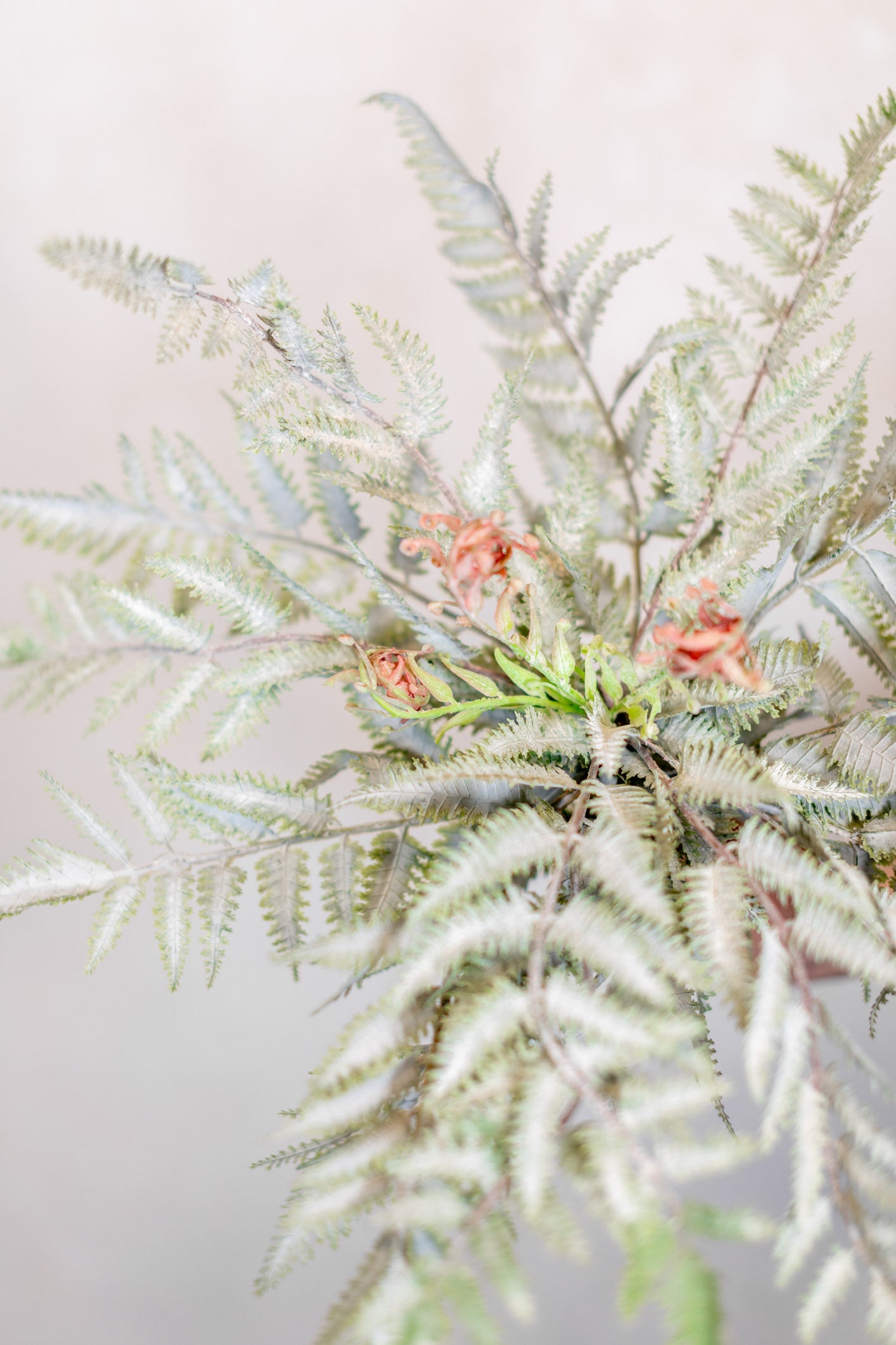 Frosted Forest Fern with Fronds