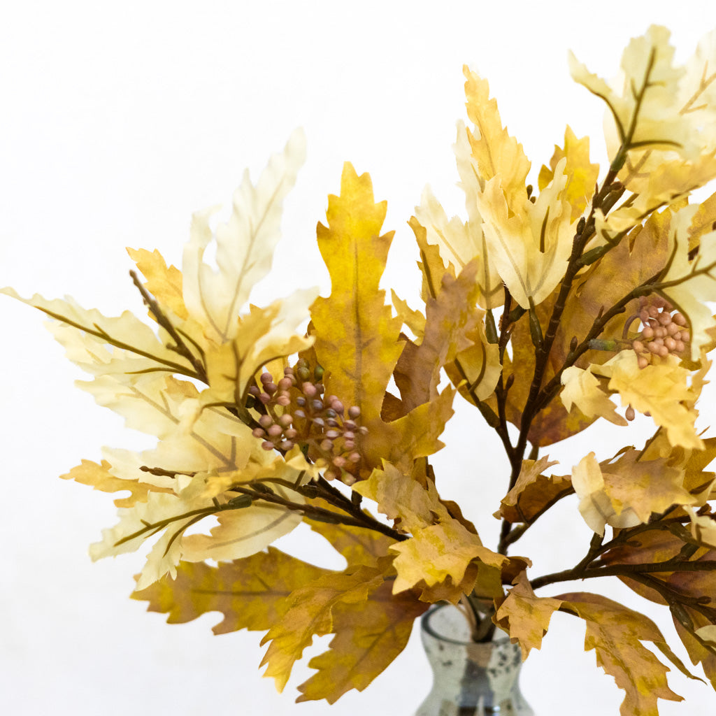 Beige Maple Leaf Bundle