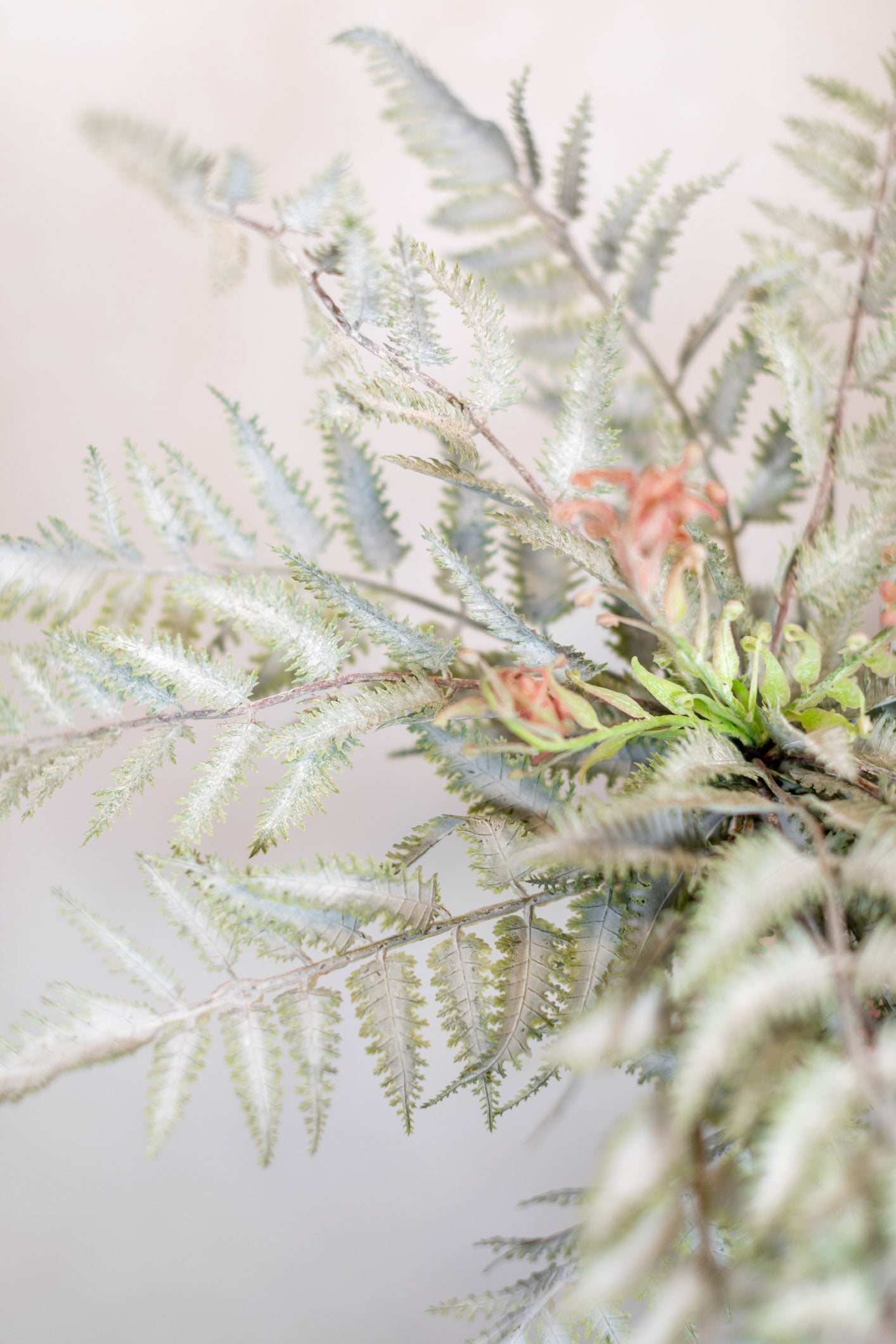 Frosted Forest Fern with Fronds