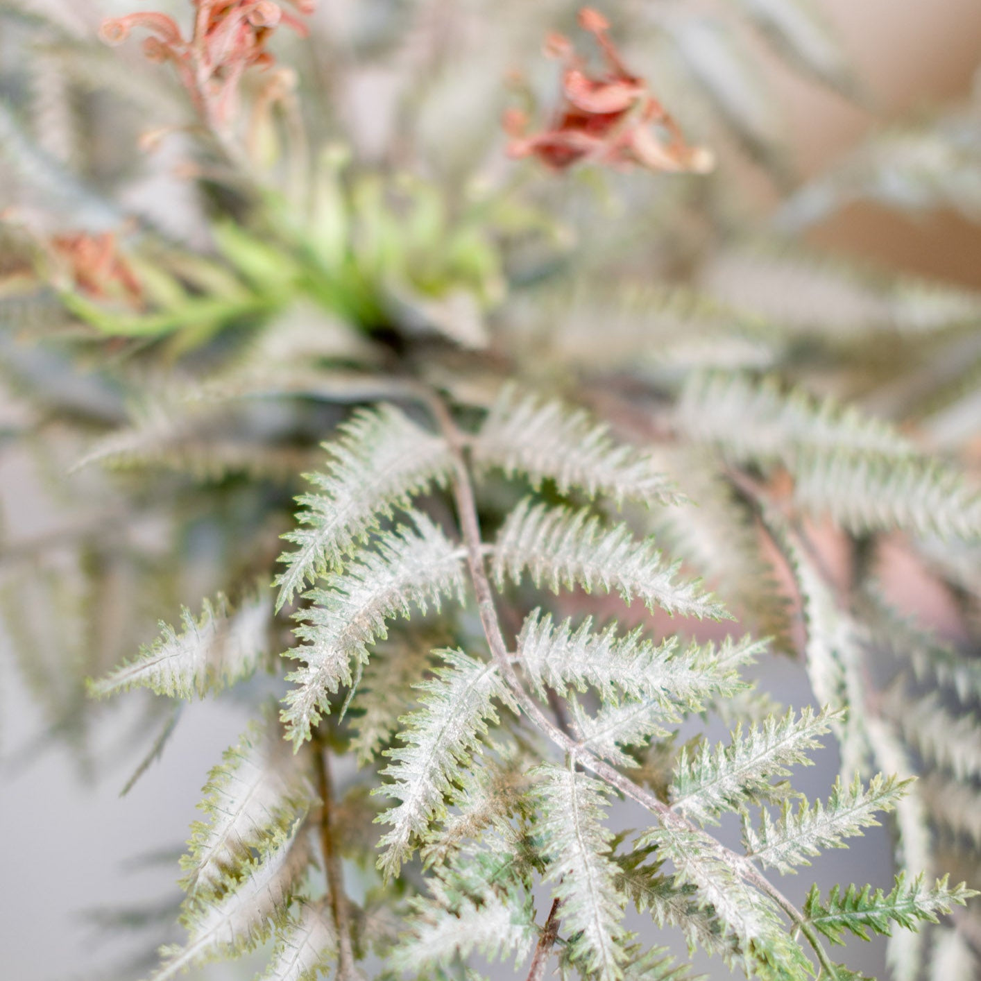 Frosted Forest Fern with Fronds