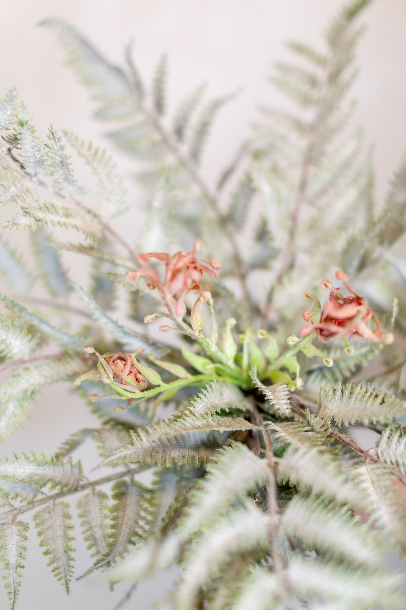 Frosted Forest Fern with Fronds