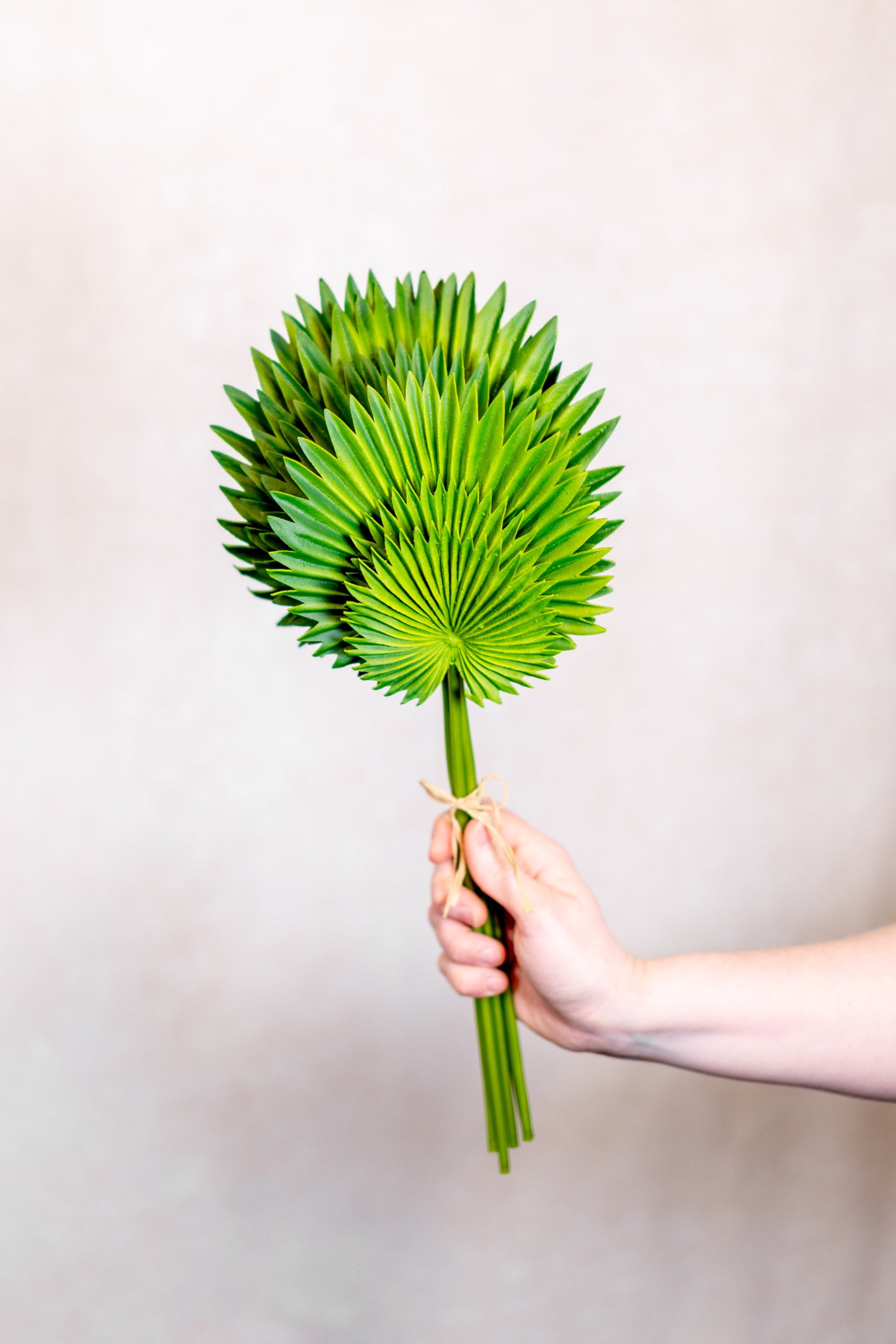 Real Touch Fan Palm Leaf Bundle